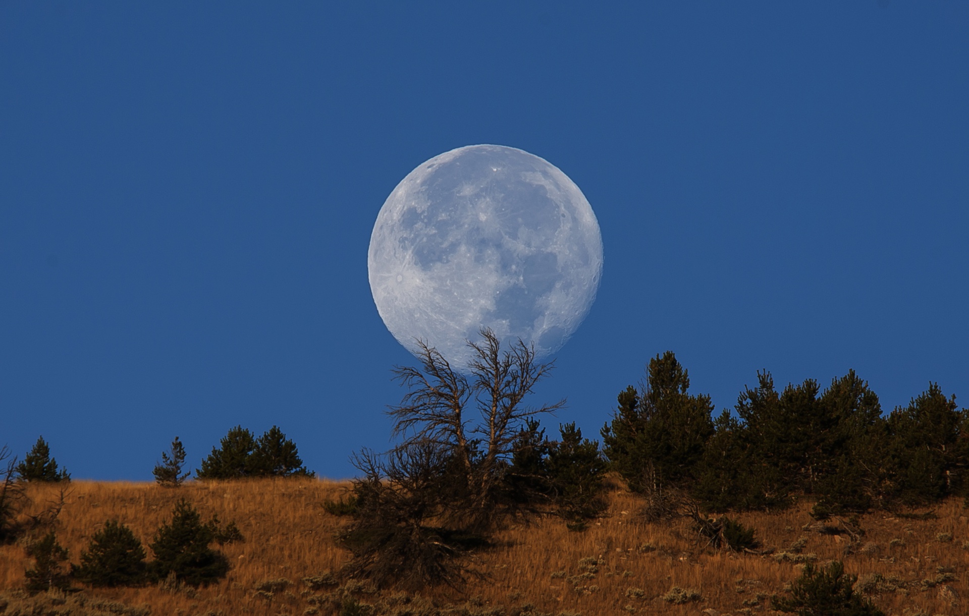 Descarga gratis la imagen Cielo, Noche, Luna, Tierra/naturaleza en el escritorio de tu PC