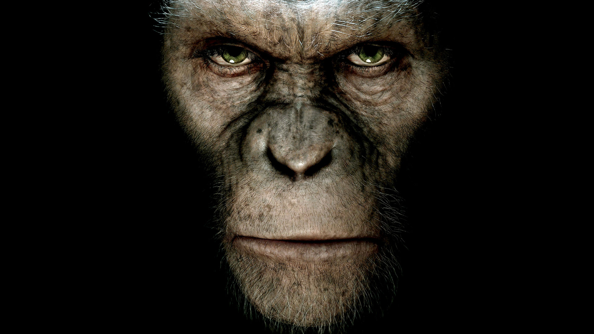 rise of the planet of the apes, movie