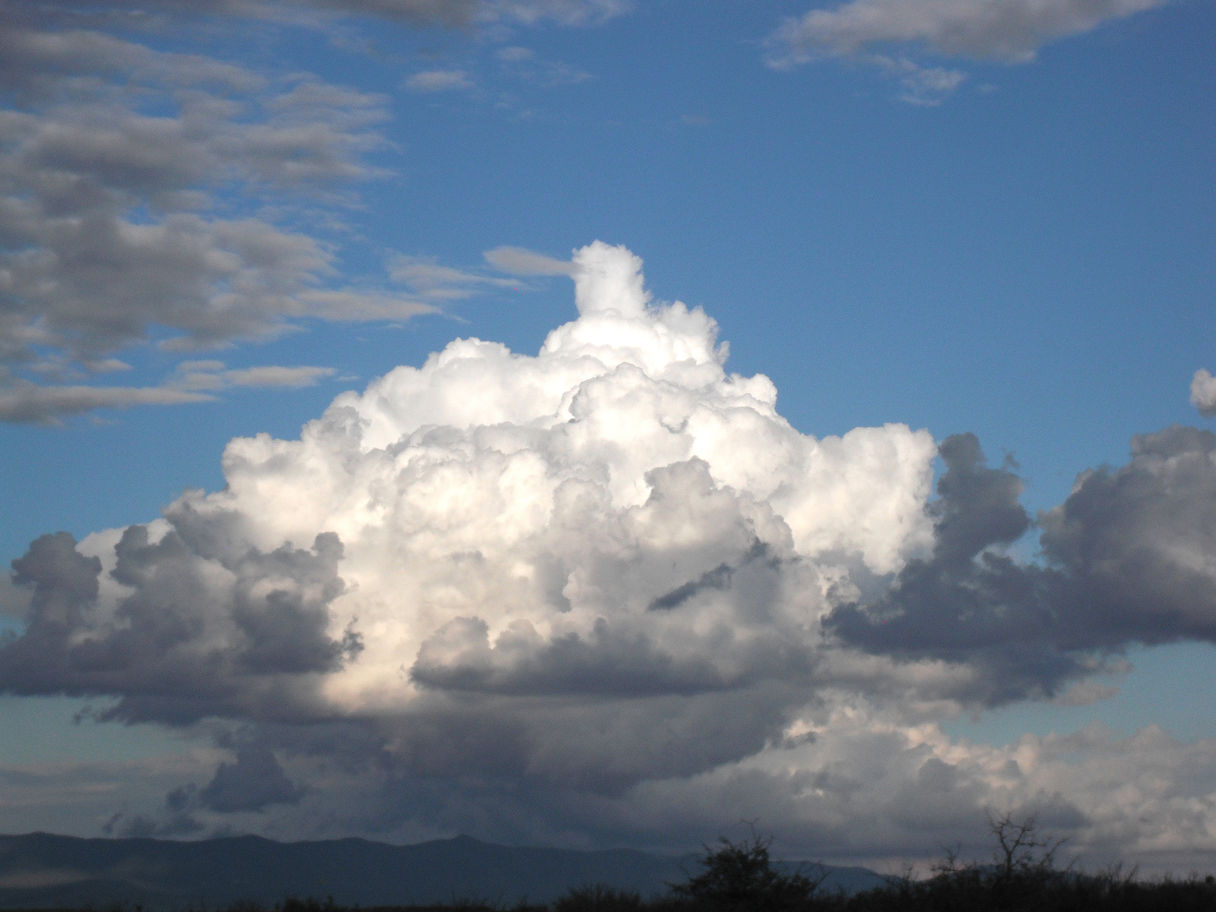 541335 descargar imagen tierra/naturaleza, nube, arizona, lluvia: fondos de pantalla y protectores de pantalla gratis