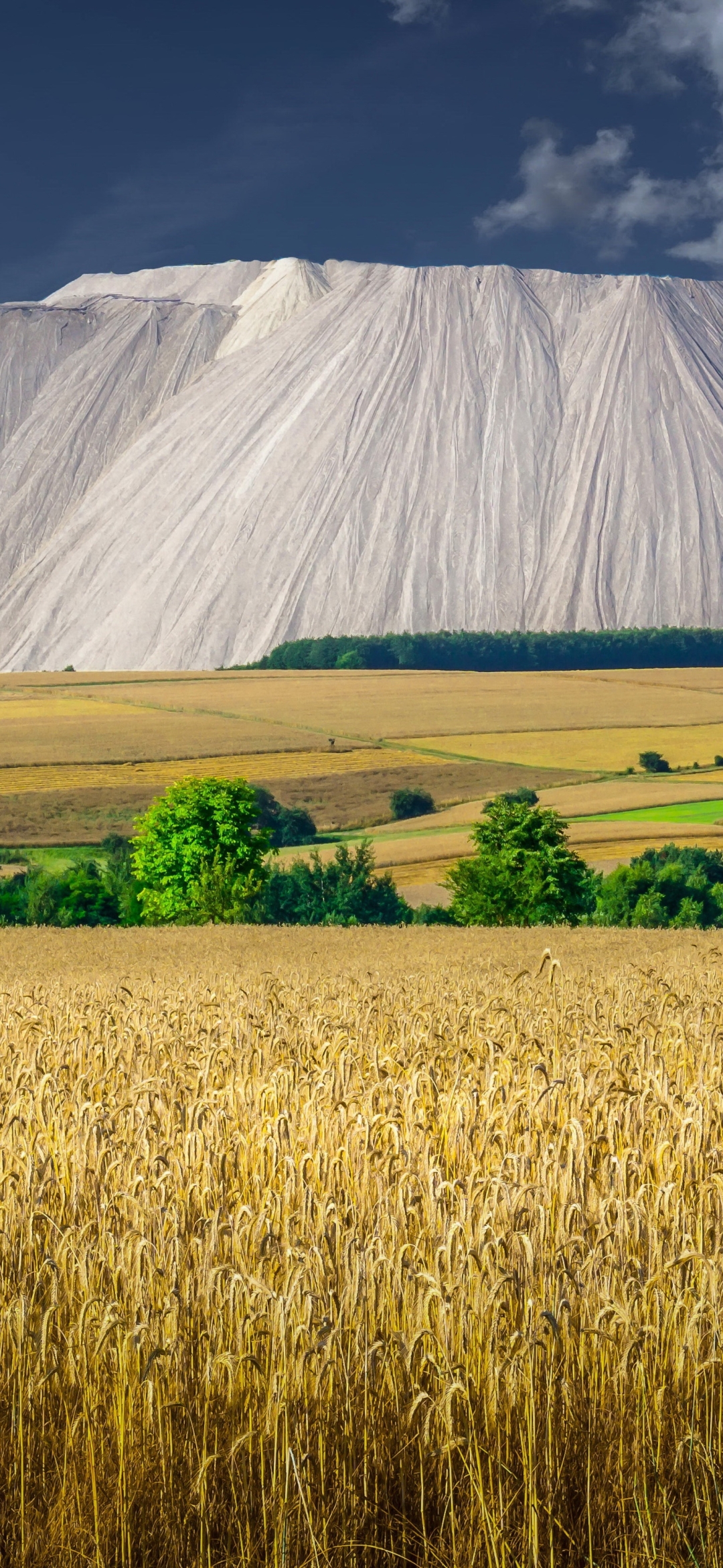 Baixar papel de parede para celular de Trigo, Campo, Alemanha, Terra/natureza gratuito.