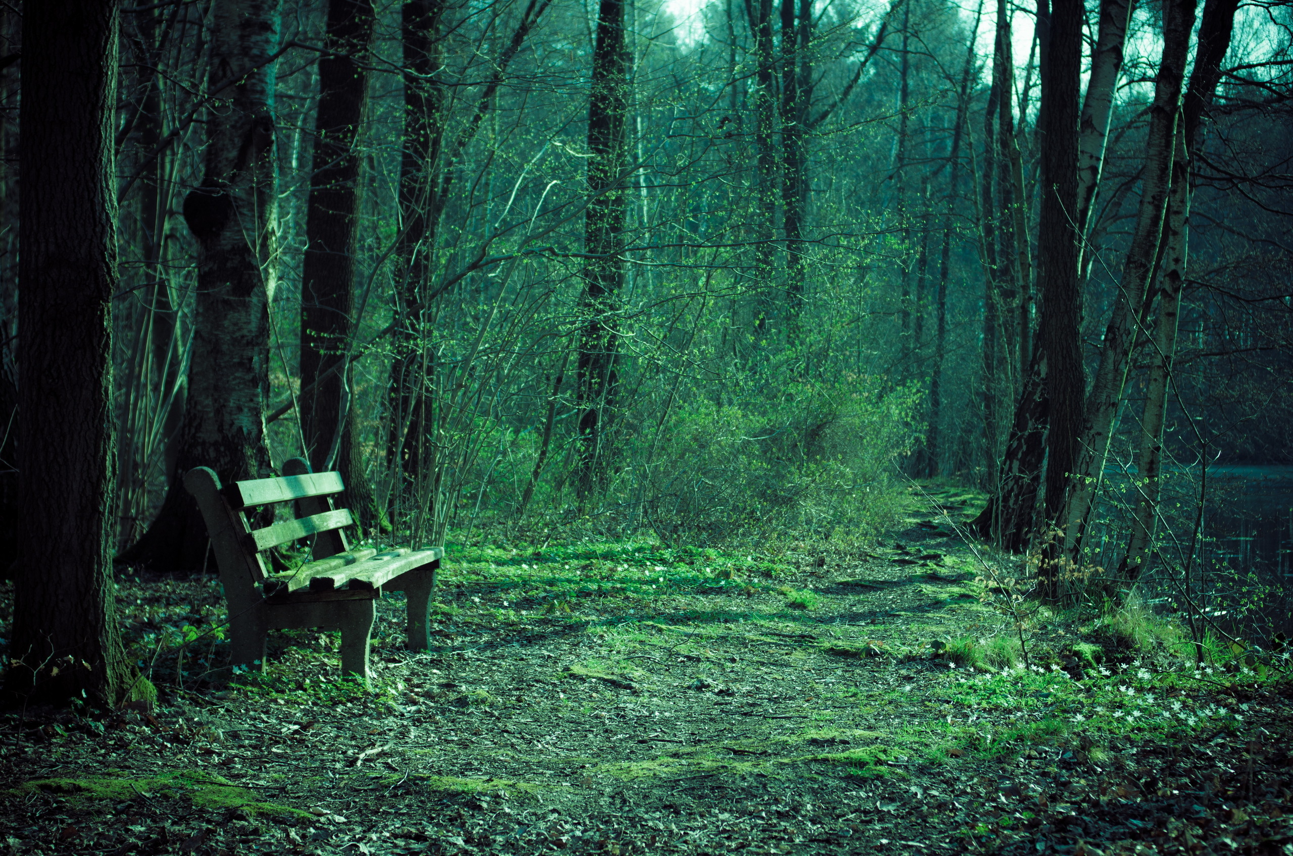 Download mobile wallpaper Nature, Dark, Park, Path, Bench, Man Made for free.