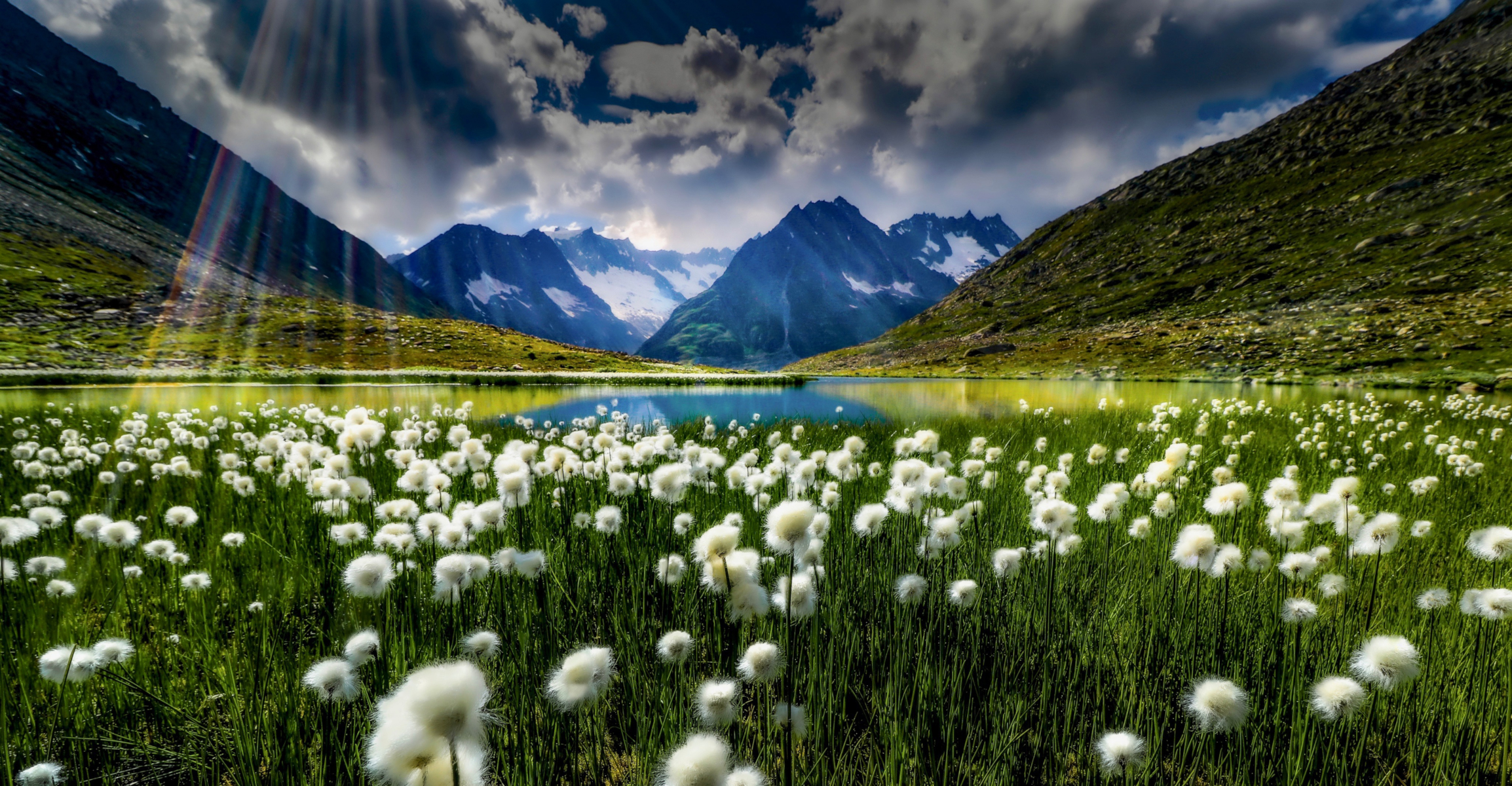Download mobile wallpaper Mountain, Lake, Plant, Earth, Switzerland, Cloud, Meadow, Sunbeam, Bernese Alps for free.