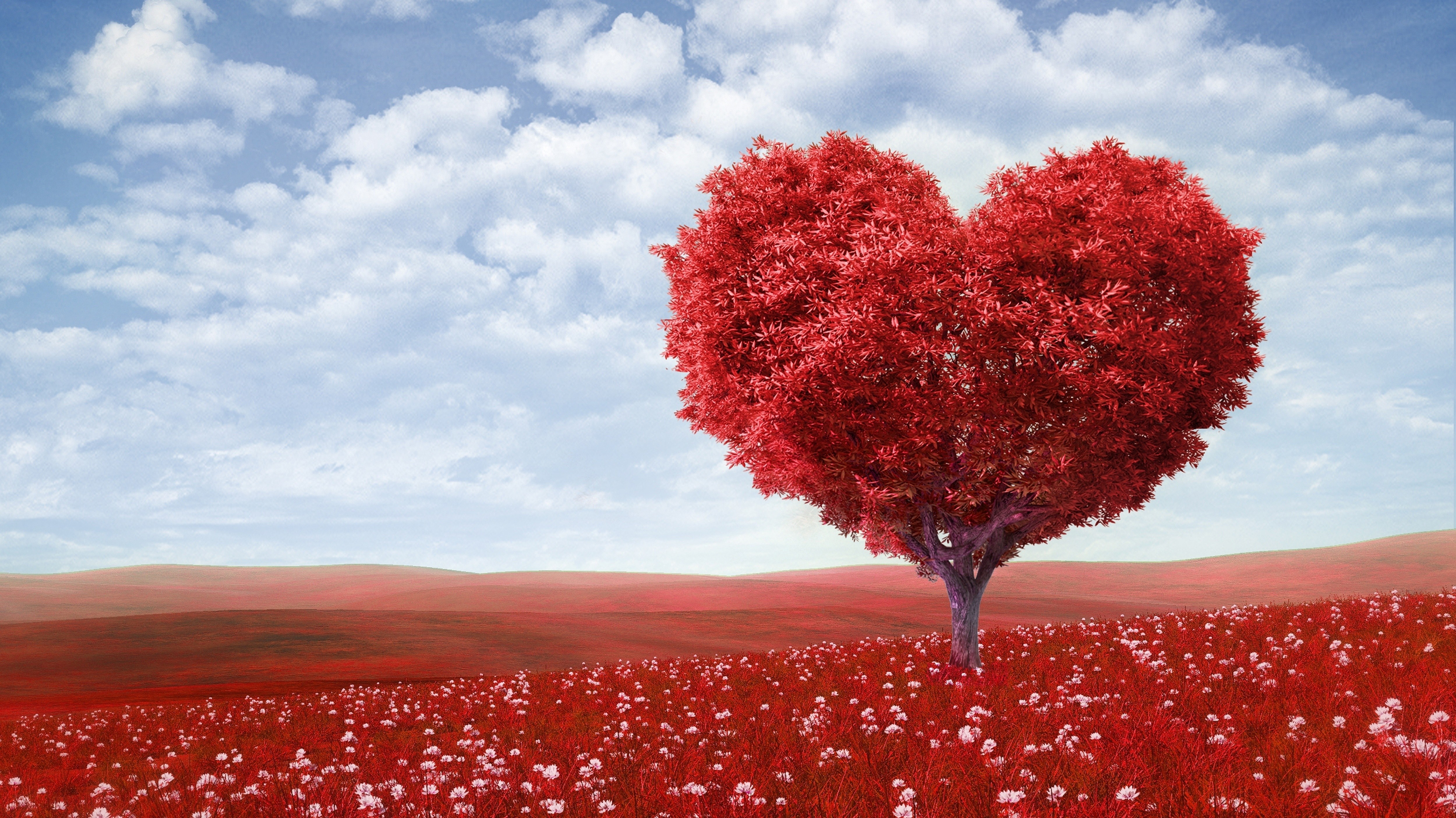 Laden Sie das Grass, Holz, Baum, Ein Herz, Herzen, Liebe, Romantik, Photoshop, Feld-Bild kostenlos auf Ihren PC-Desktop herunter