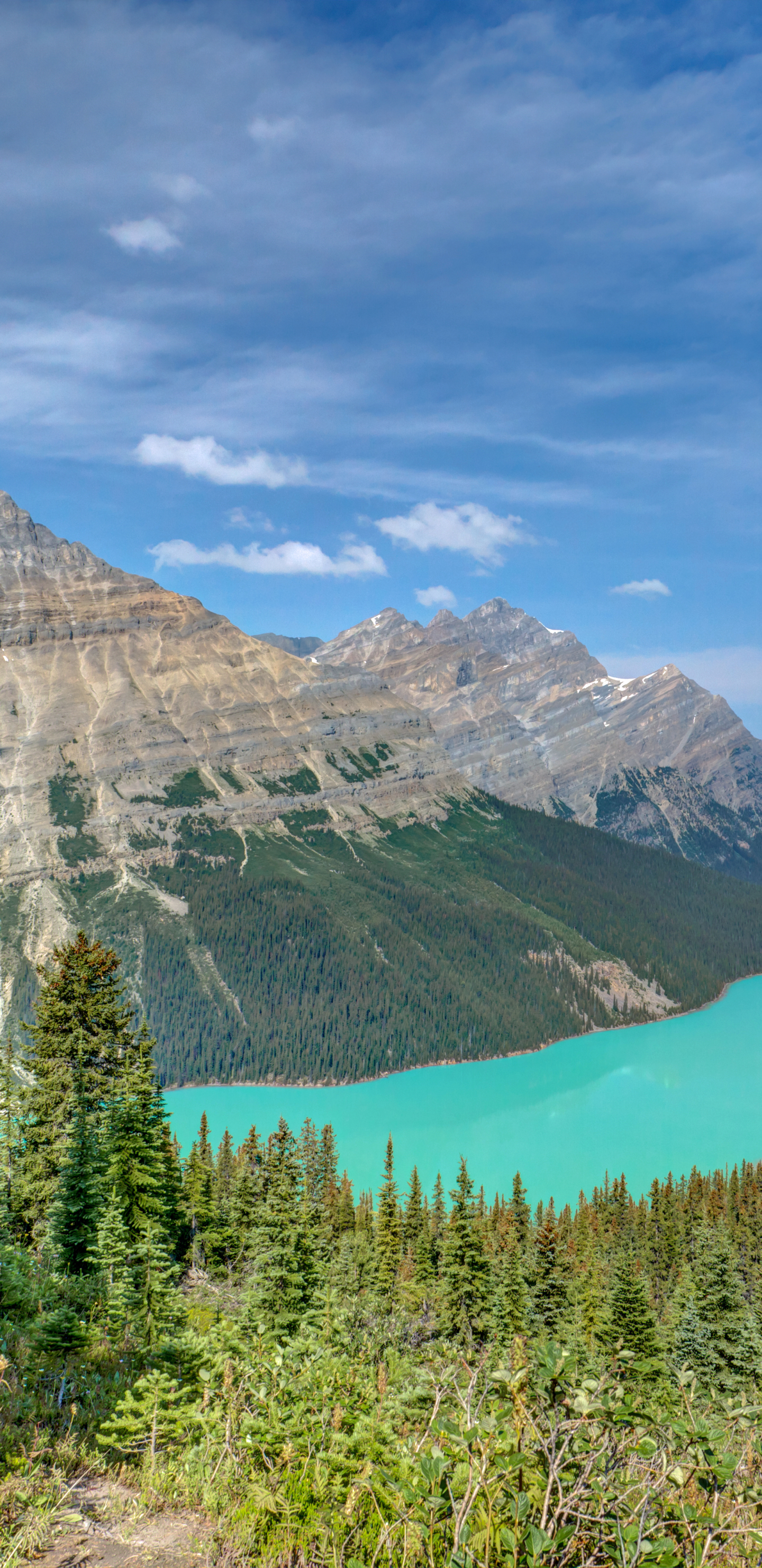 Скачать обои бесплатно Пейзаж, Природа, Озера, Гора, Озеро, Канада, Лес, Ландшафт, Альберта, Национальный Парк Банф, Земля/природа, Озеро Пейто картинка на рабочий стол ПК