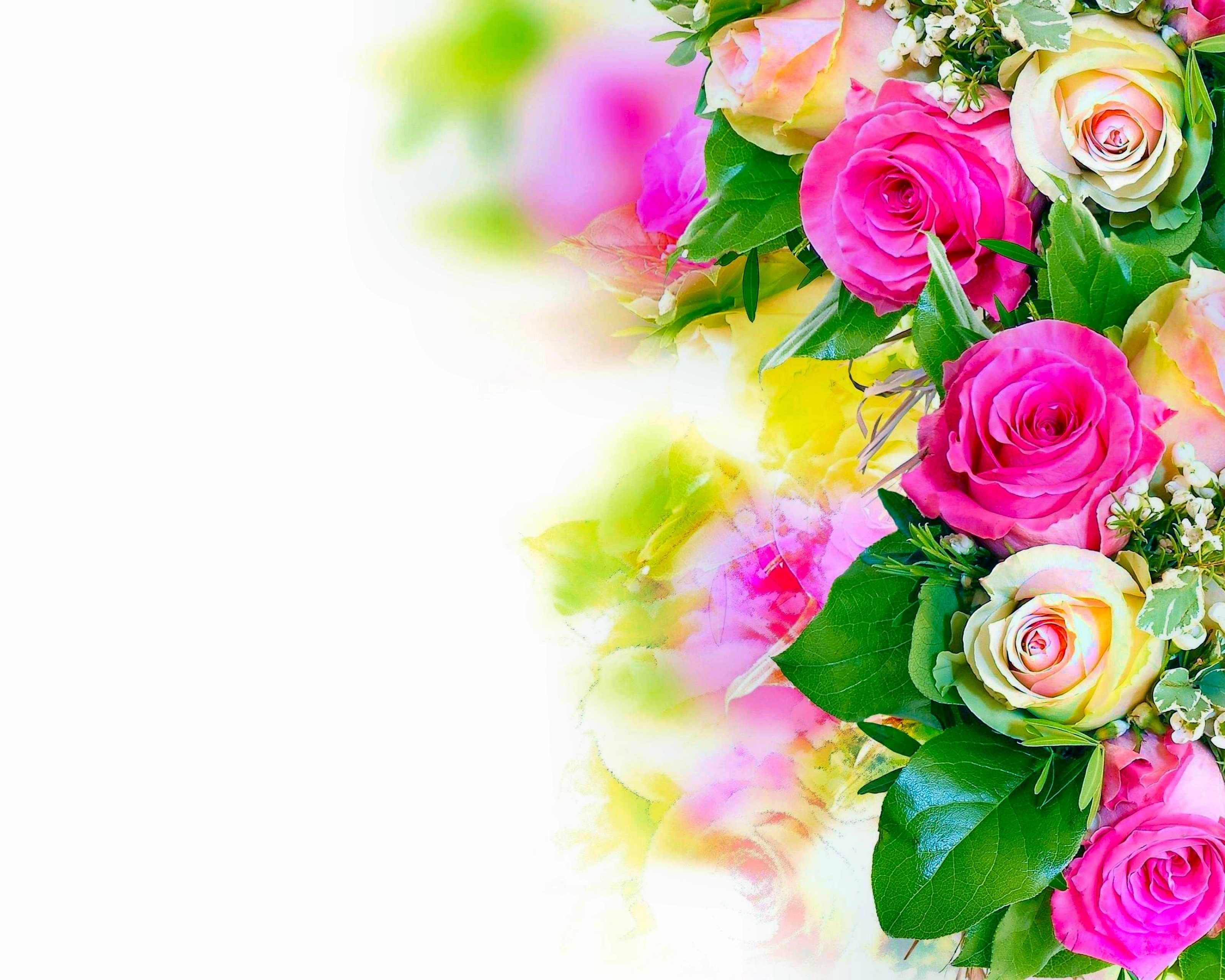 Скачати мобільні шпалери Квітка, Роза, Букет, Земля, Пастель, Біла Троянда, Рожева Троянда, Флауерзи безкоштовно.