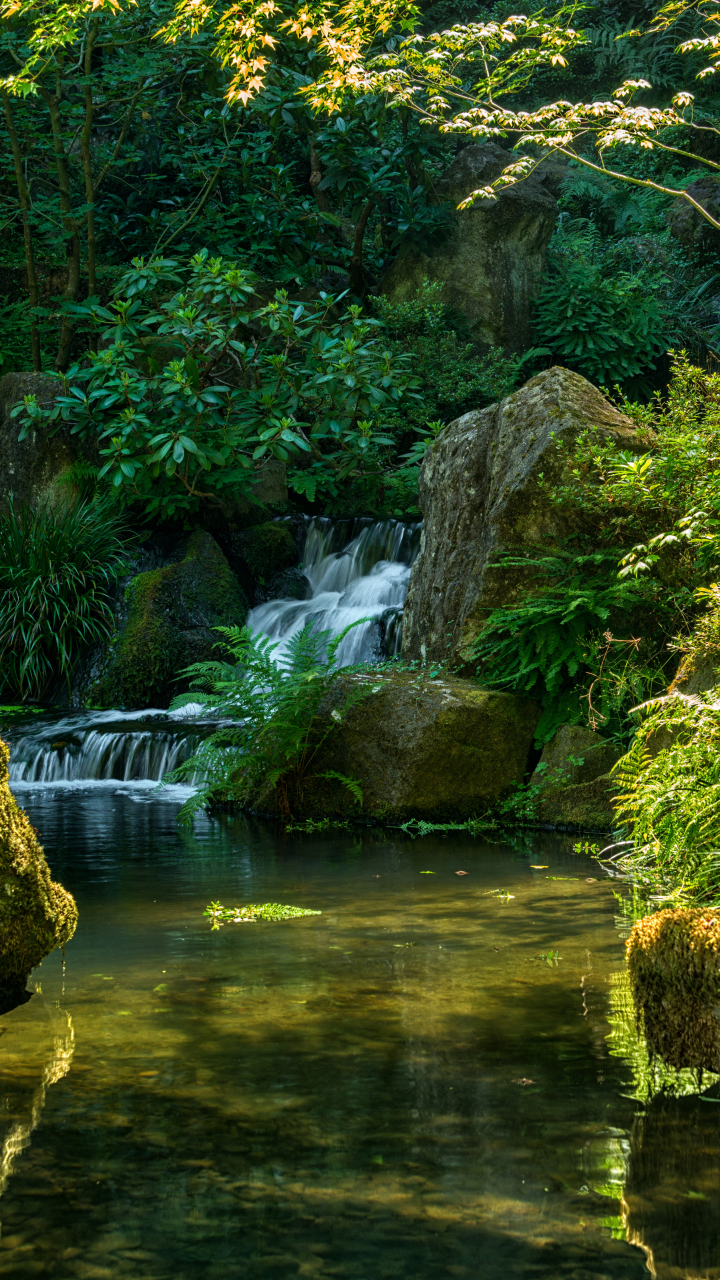 Handy-Wallpaper Natur, Wasserfall, Park, Moos, Fotografie kostenlos herunterladen.