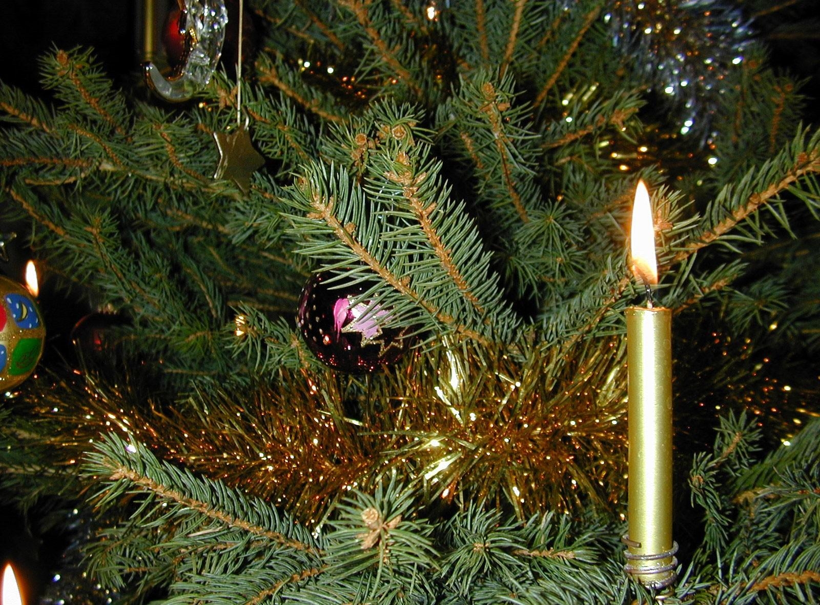 holidays, toys, holiday, needles, christmas tree, tinsel, candle
