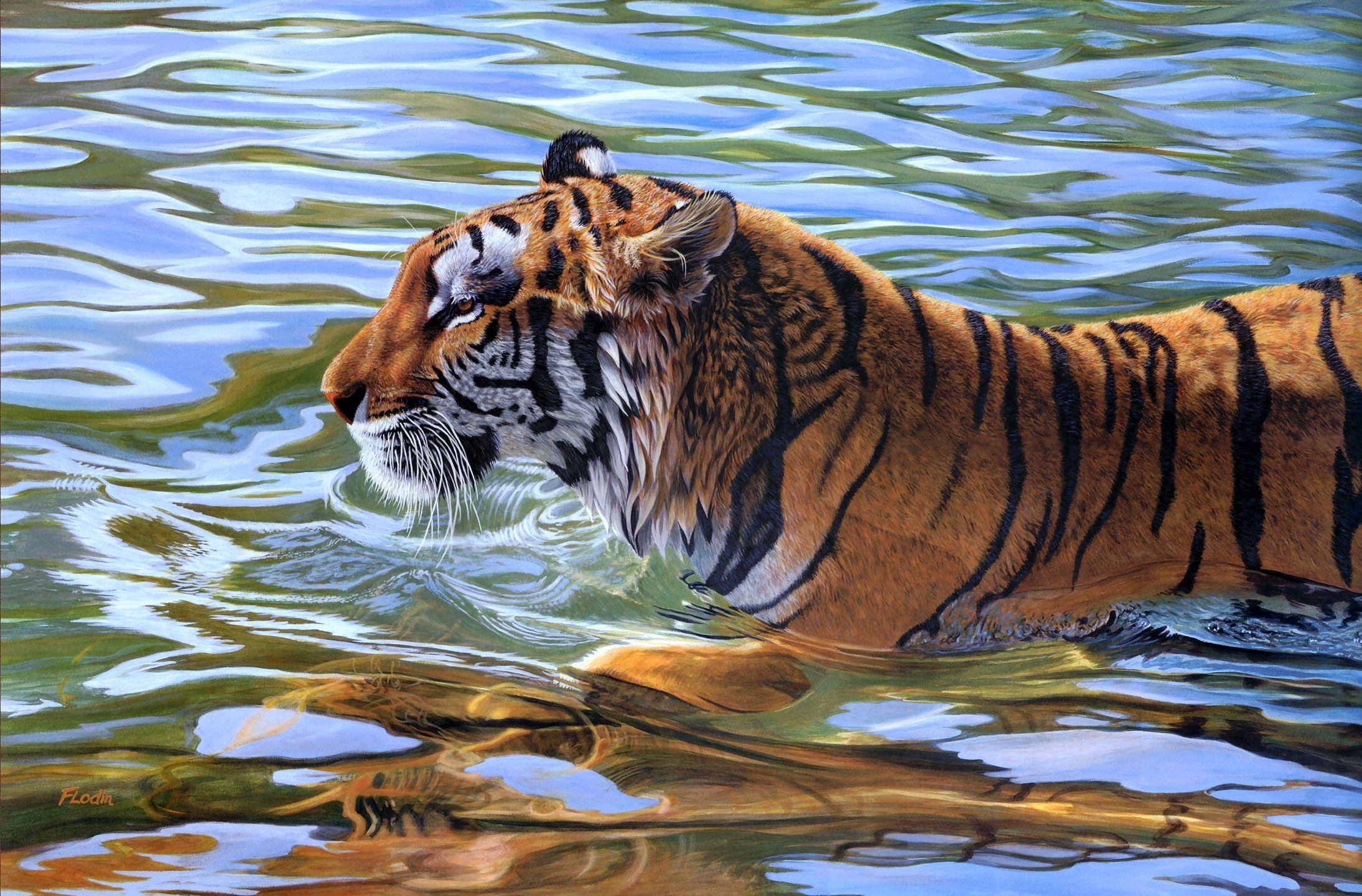 Baixar papel de parede para celular de Animais, Tigre gratuito.