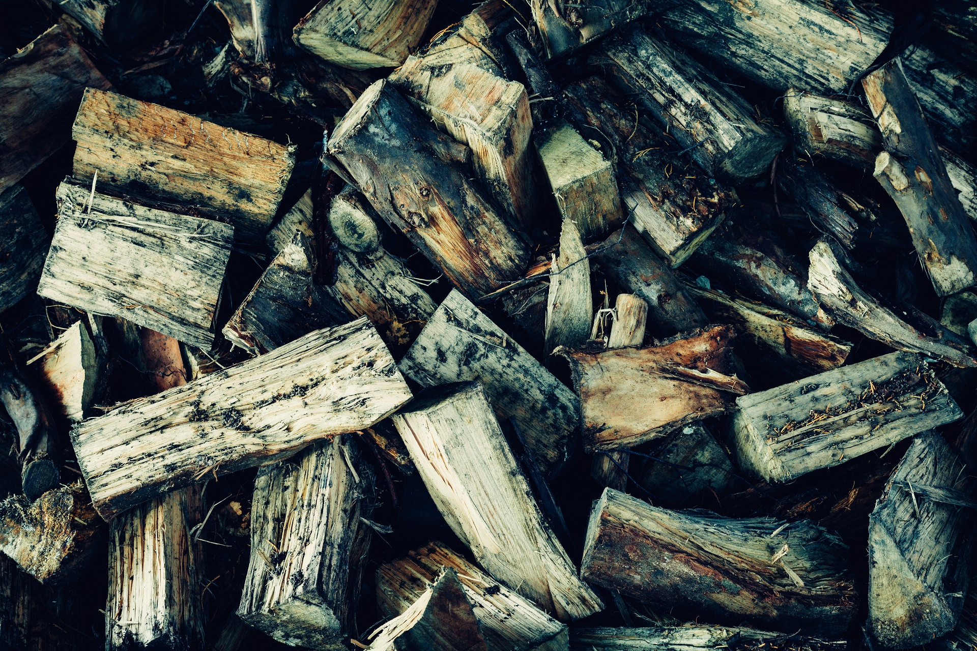 Download mobile wallpaper Wood, Earth for free.