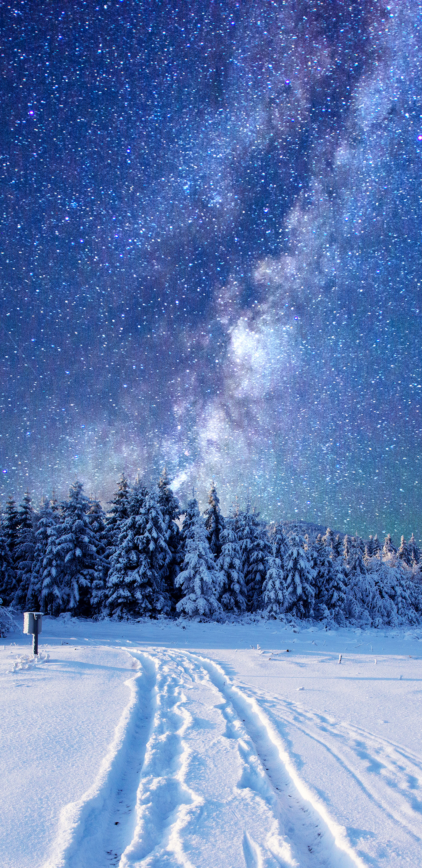 Скачать картинку Зима, Природа, Небо, Звезды, Снег, Лес, Млечный Путь, Научная Фантастика в телефон бесплатно.