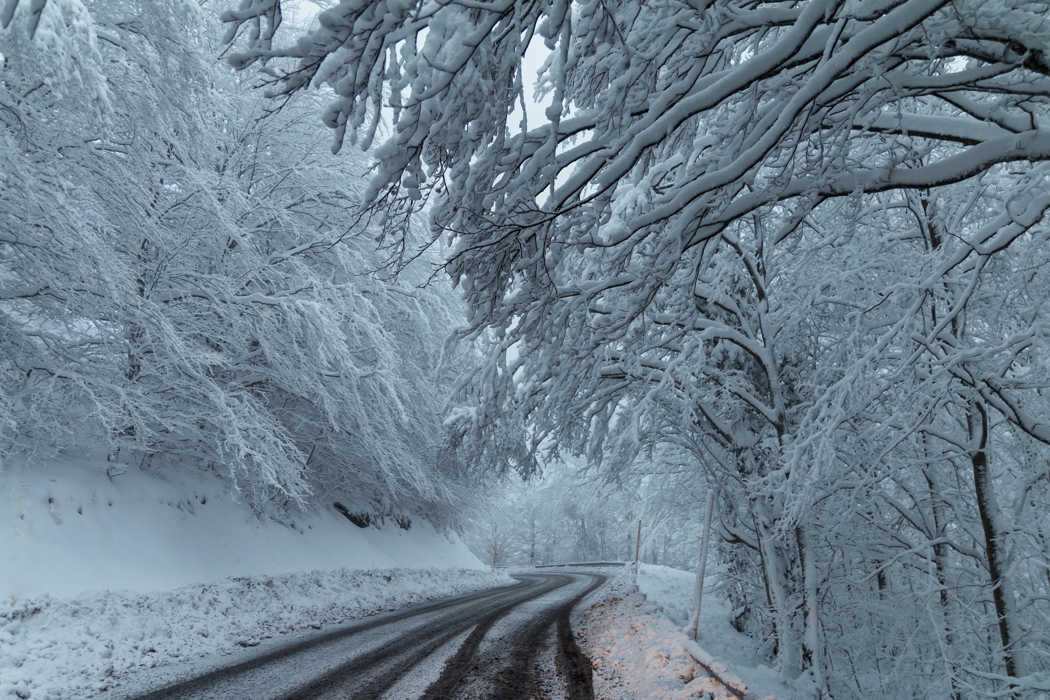 PCデスクトップに冬, 木, 雪, 道, マンメイド画像を無料でダウンロード