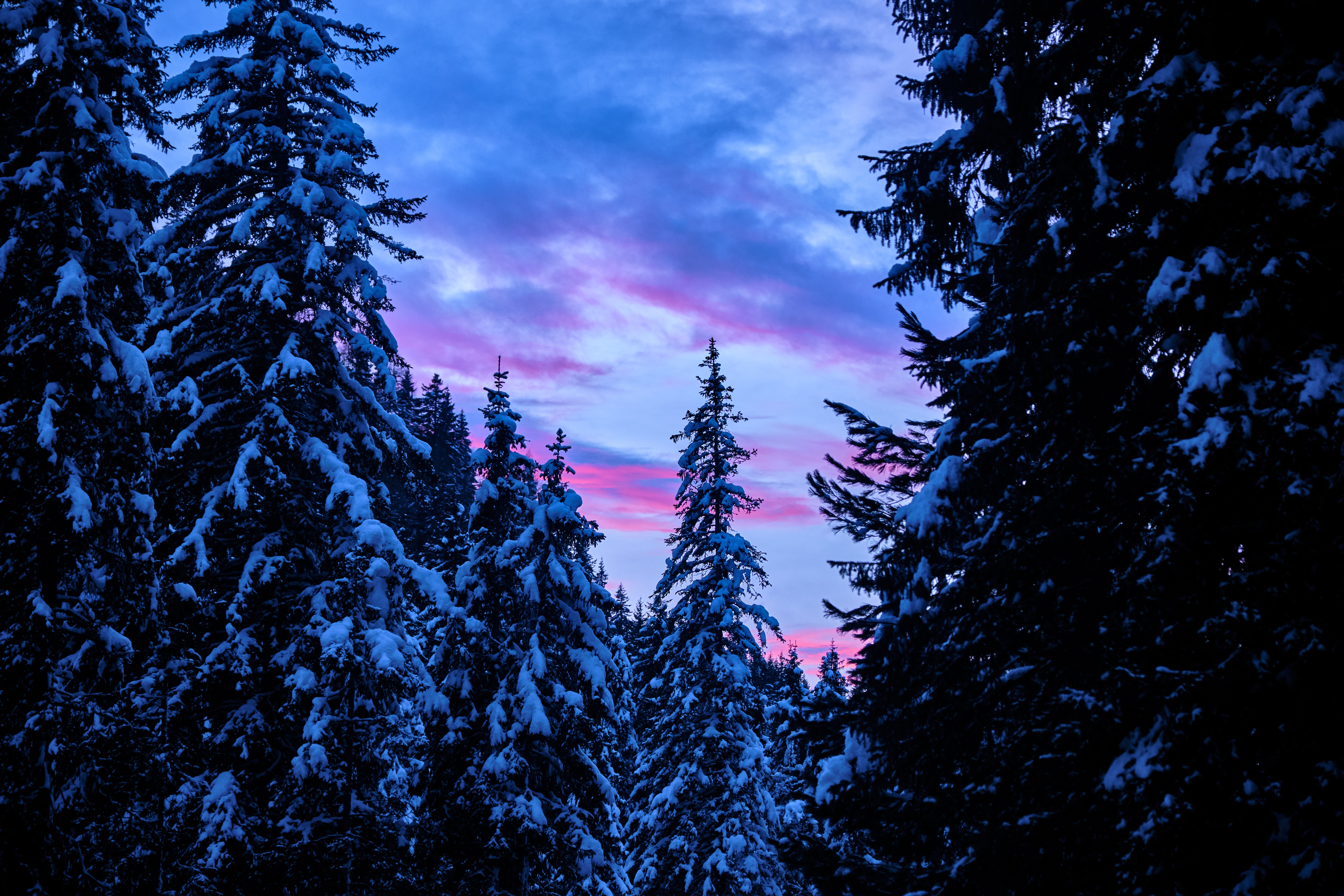 Free download wallpaper Nature, Trees, Sunset, Sky, Forest, Snow Covered, Snowbound on your PC desktop