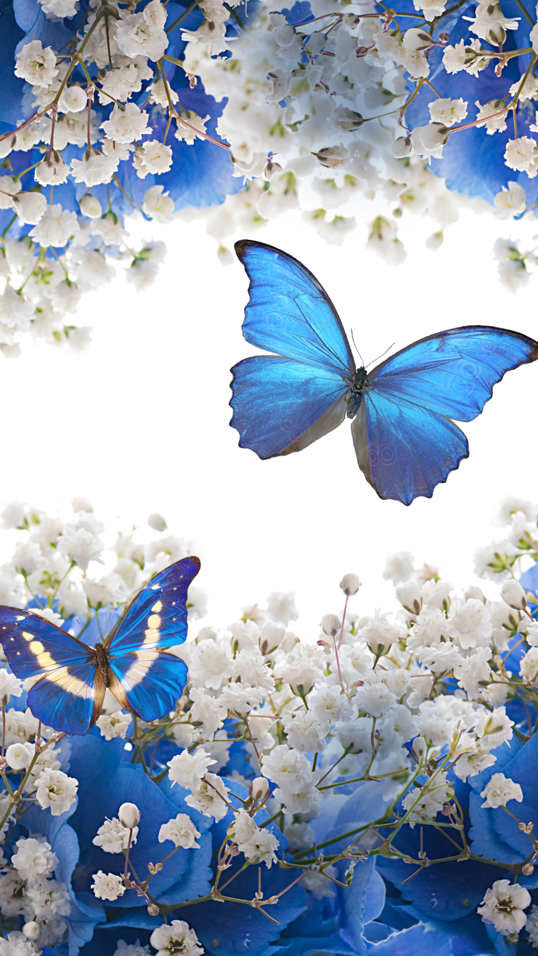 Скачать картинку Цветок, Синий, Бабочка, Белый Цветок, Художественные в телефон бесплатно.