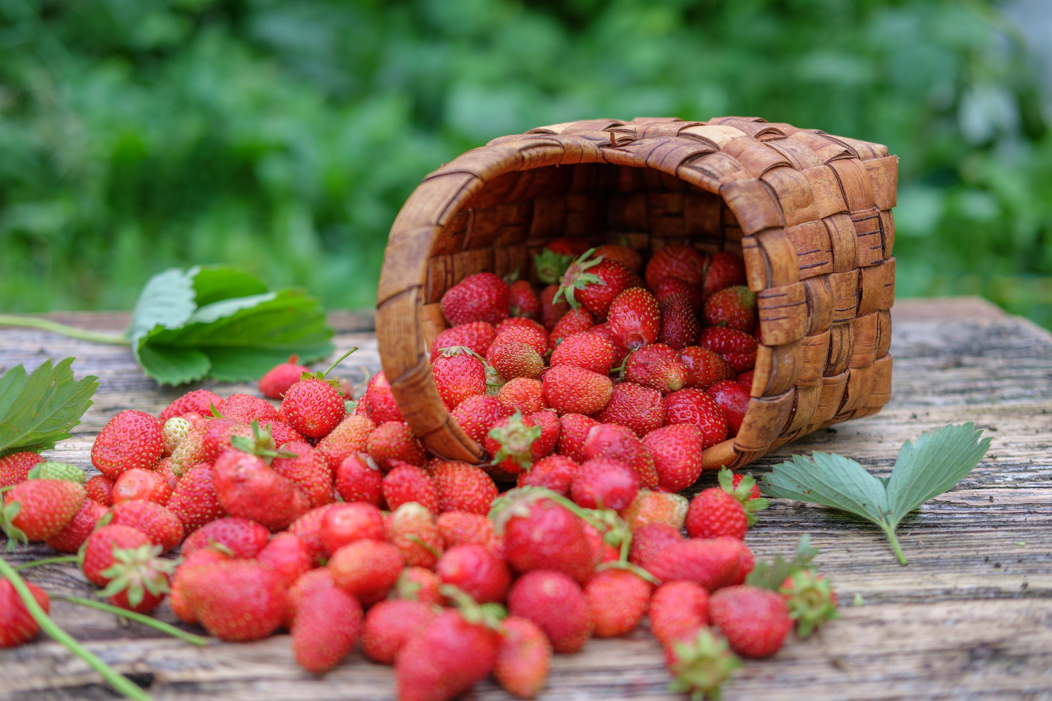 Laden Sie das Erdbeere, Frucht, Korb, Nahrungsmittel, Stillleben, Früchte-Bild kostenlos auf Ihren PC-Desktop herunter