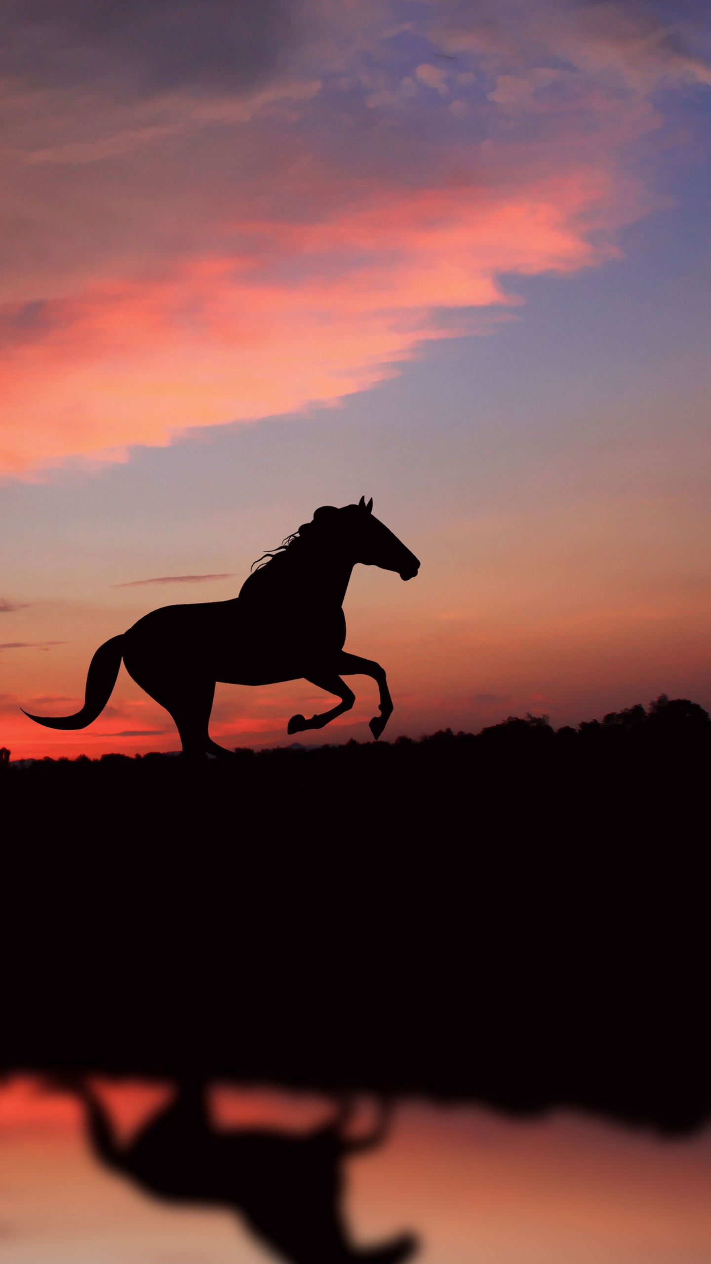 Скачати мобільні шпалери Тварина, Кінь безкоштовно.
