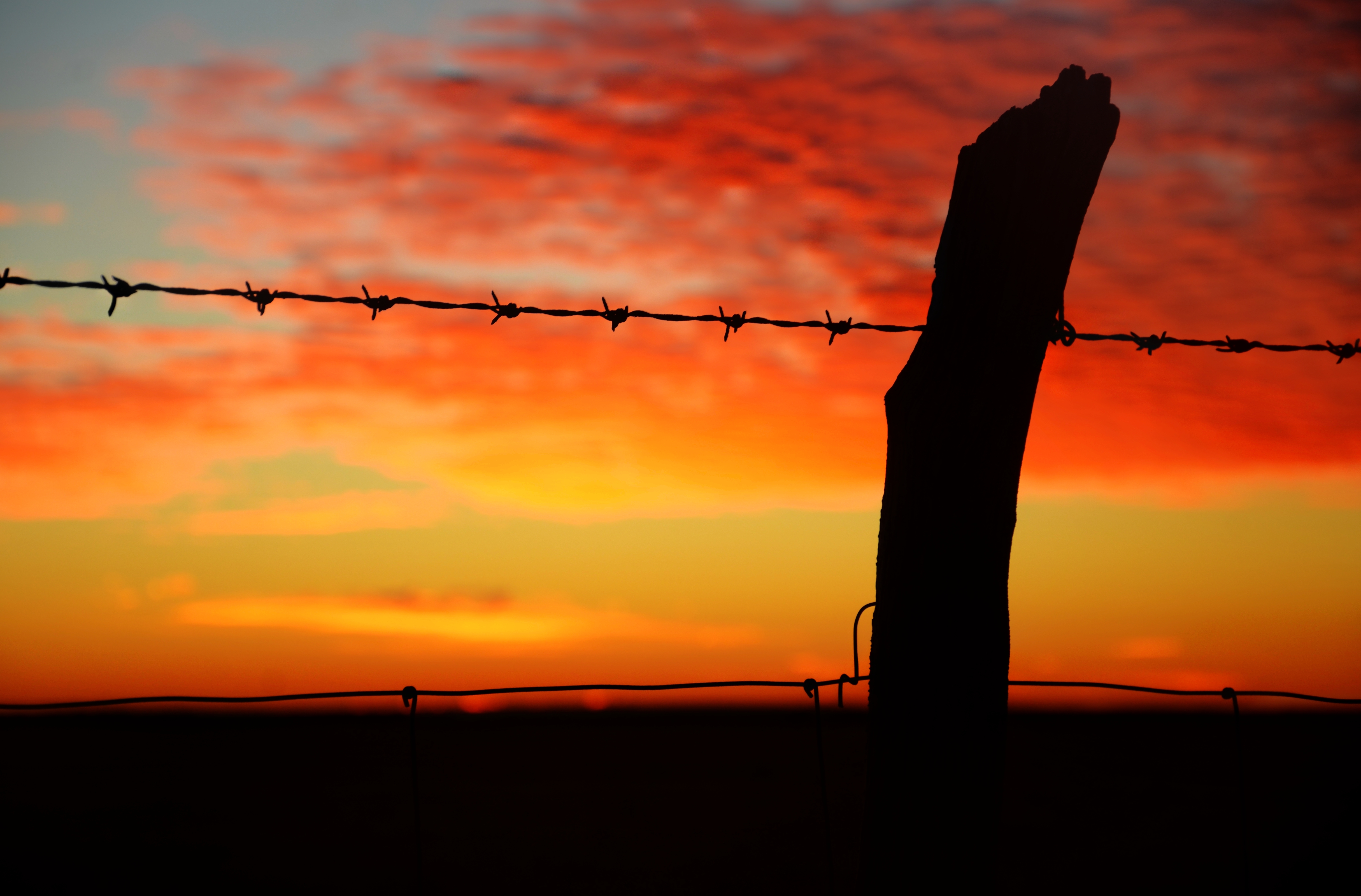 sunset, horizon, miscellanea, miscellaneous, barbed, wire, prickly