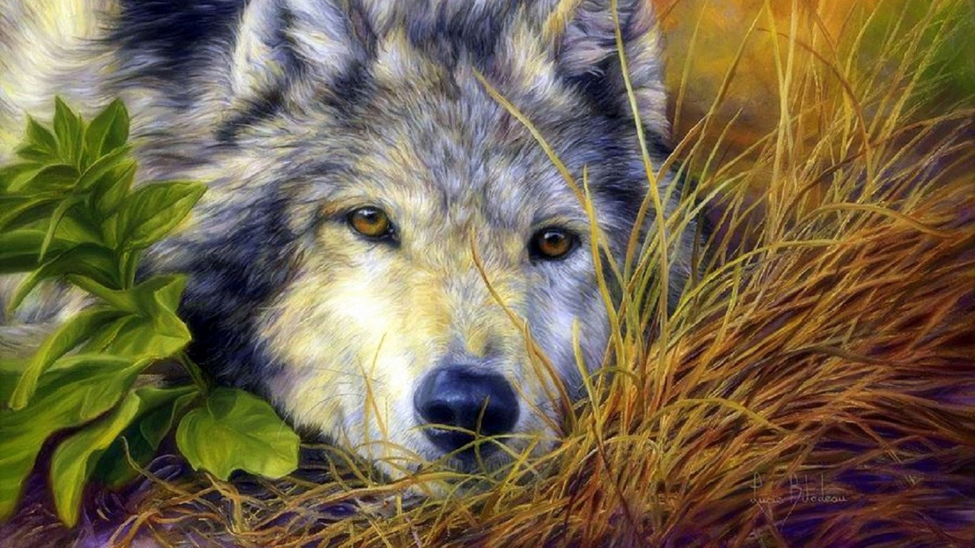 Download mobile wallpaper Grass, Plant, Close Up, Wolf, Animal, Face, Wolves for free.
