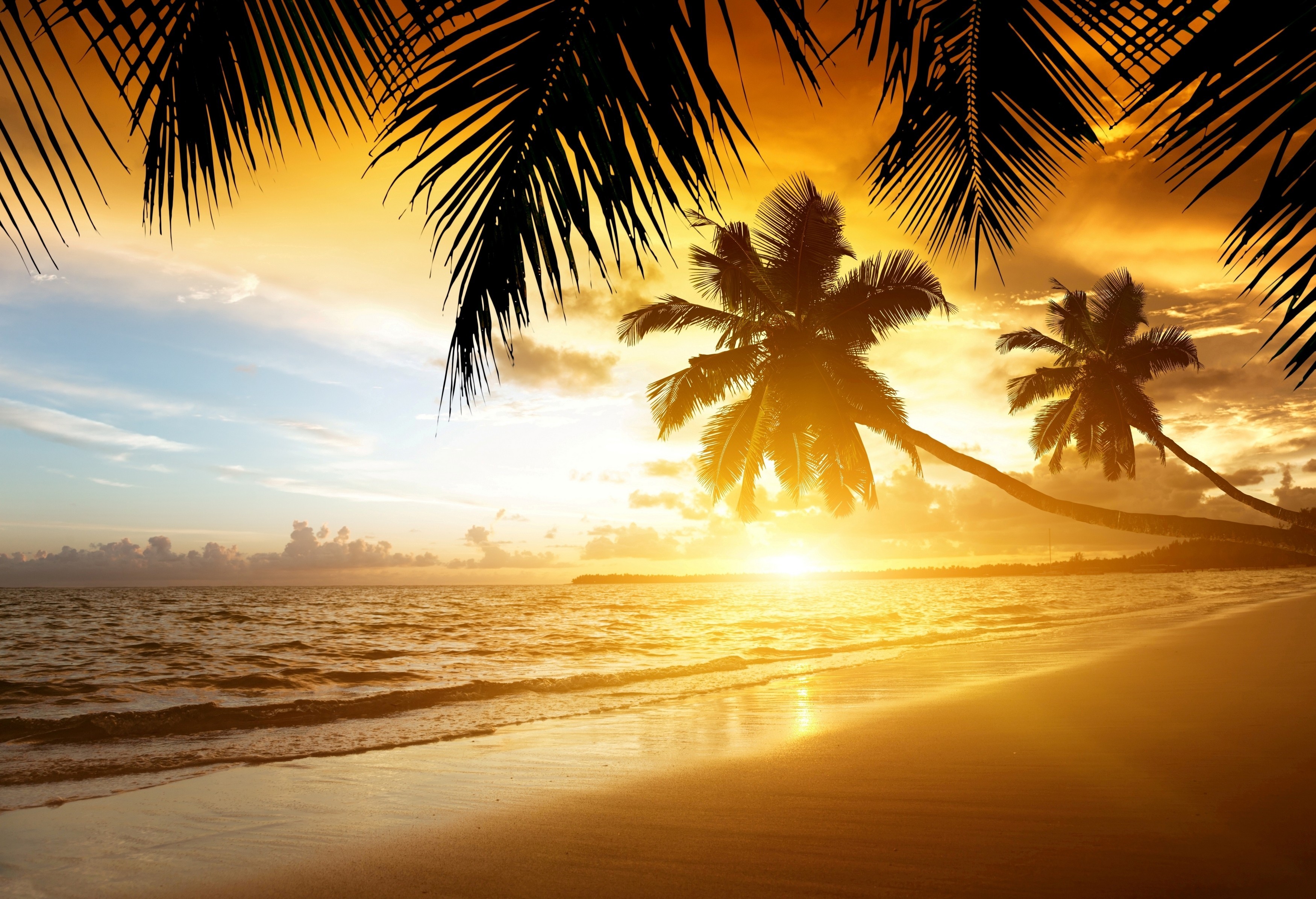 Baixe gratuitamente a imagem Pôr Do Sol, Céu, Mar, Palmeira, Nuvem, Terra/natureza na área de trabalho do seu PC