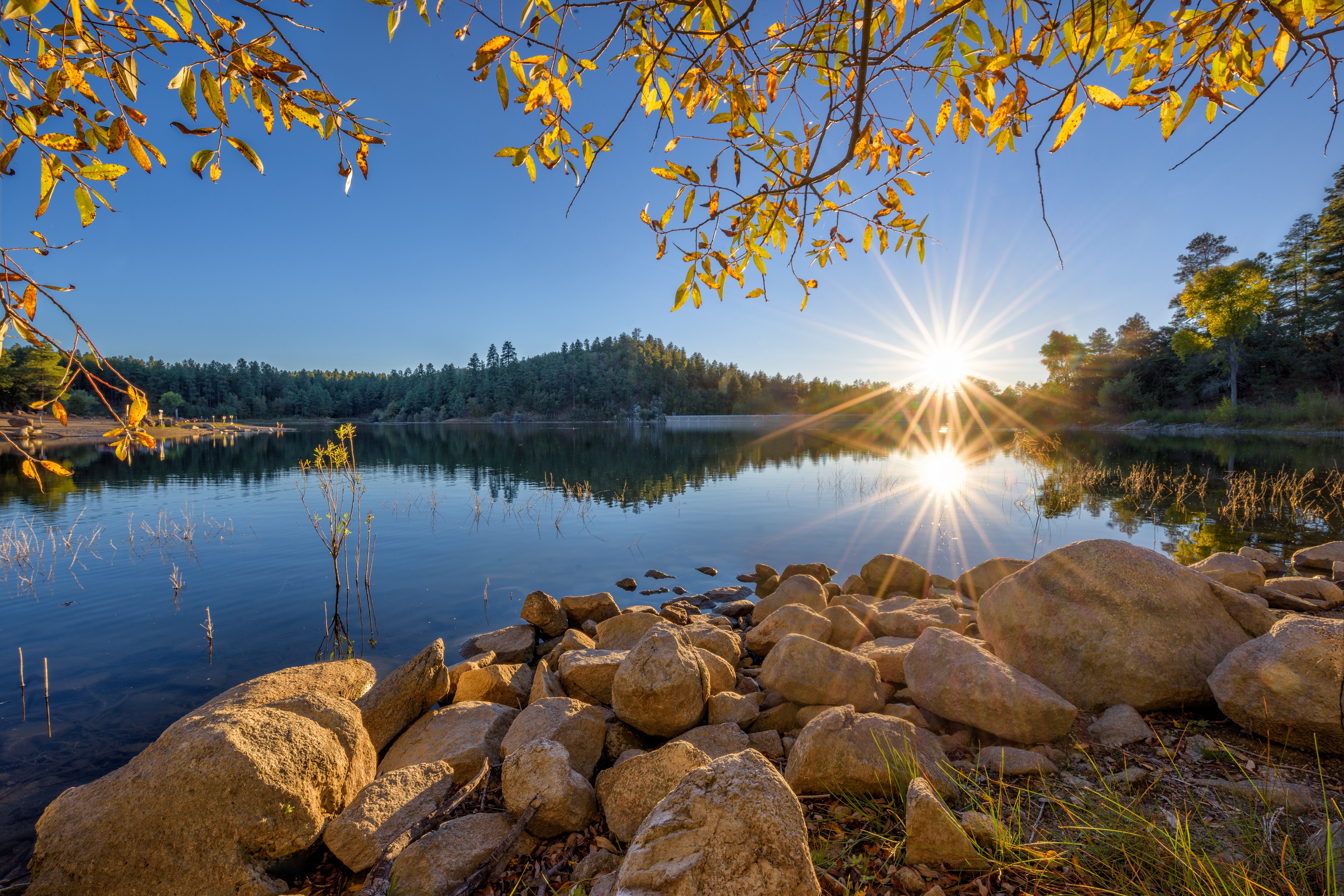 Laden Sie das Seen, See, Ast, Stein, Sonne, Erde/natur-Bild kostenlos auf Ihren PC-Desktop herunter