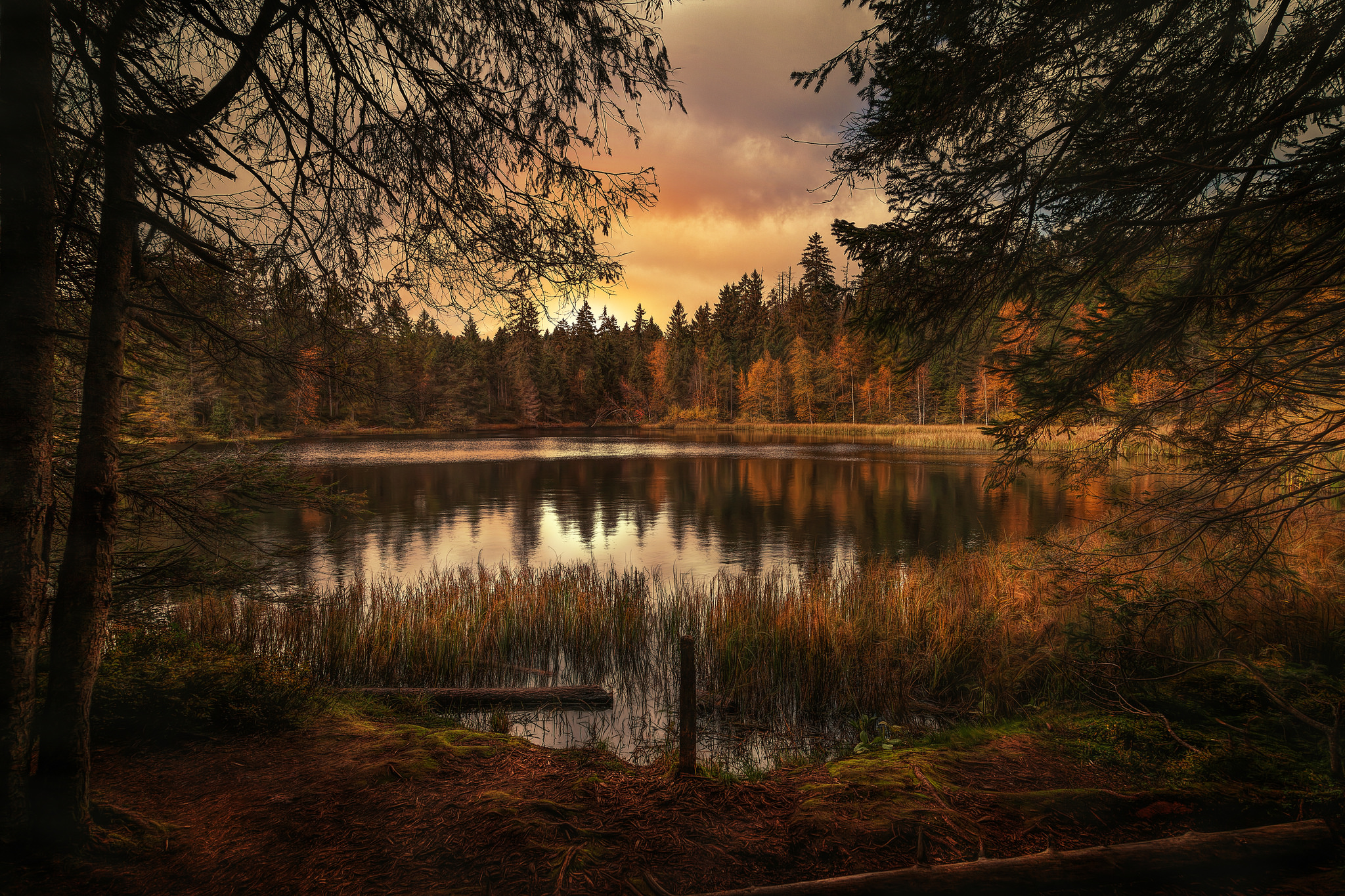 Free download wallpaper Landscape, Nature, Lake, Forest, Fall, Earth, Switzerland on your PC desktop