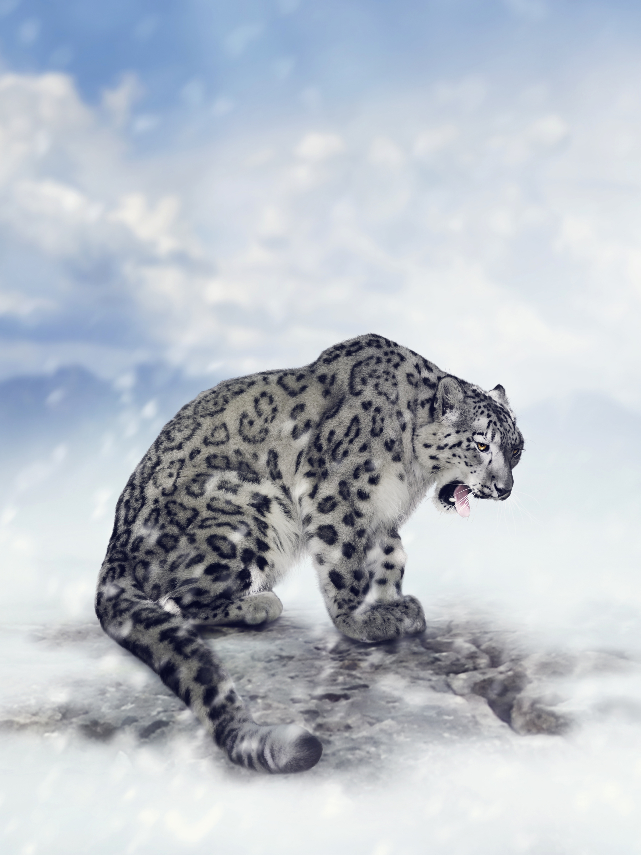 Download mobile wallpaper Cats, Snow Leopard, Animal, Snowfall for free.