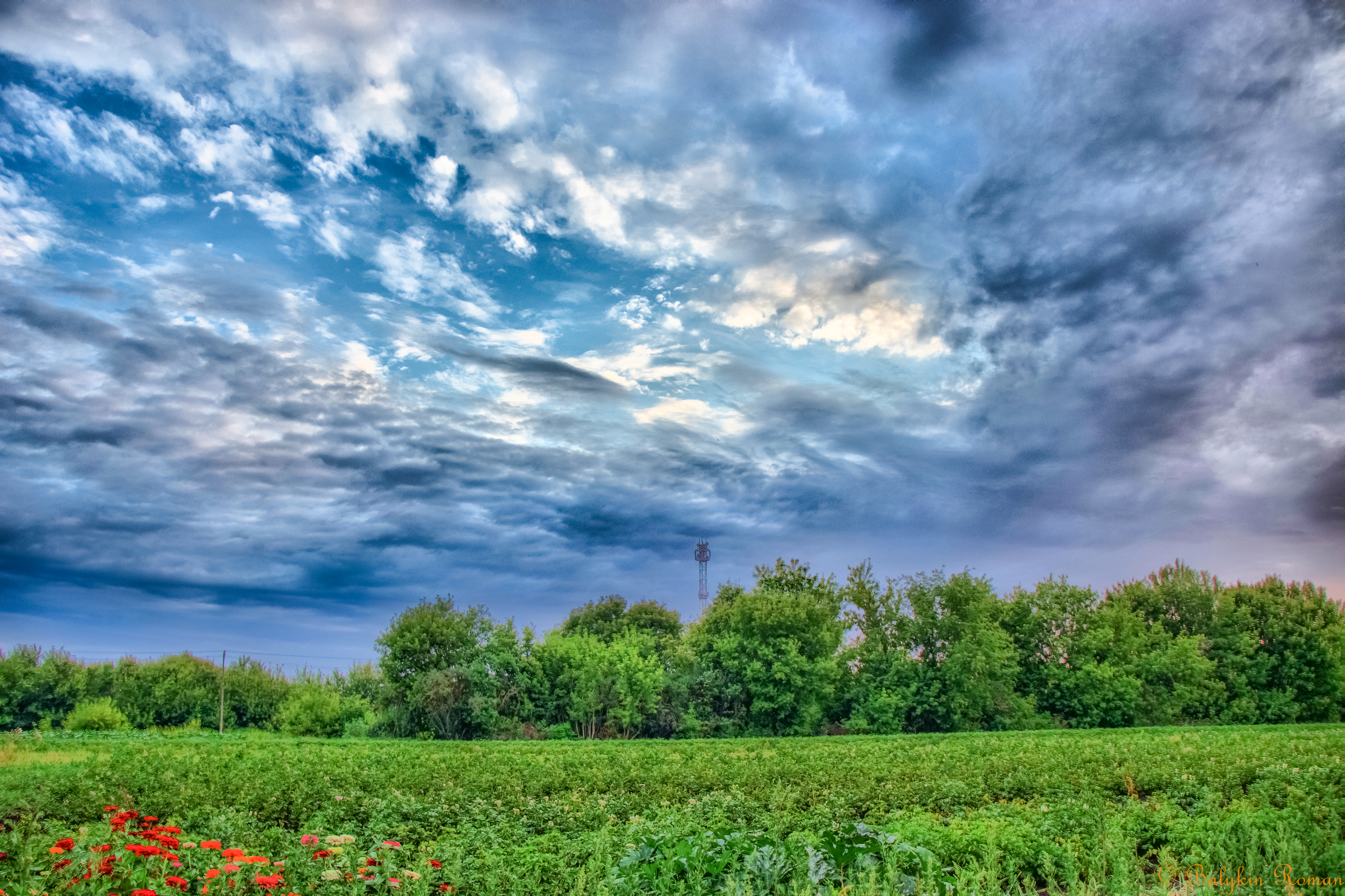 Descarga gratuita de fondo de pantalla para móvil de Paisaje, Hdr, Tierra/naturaleza.