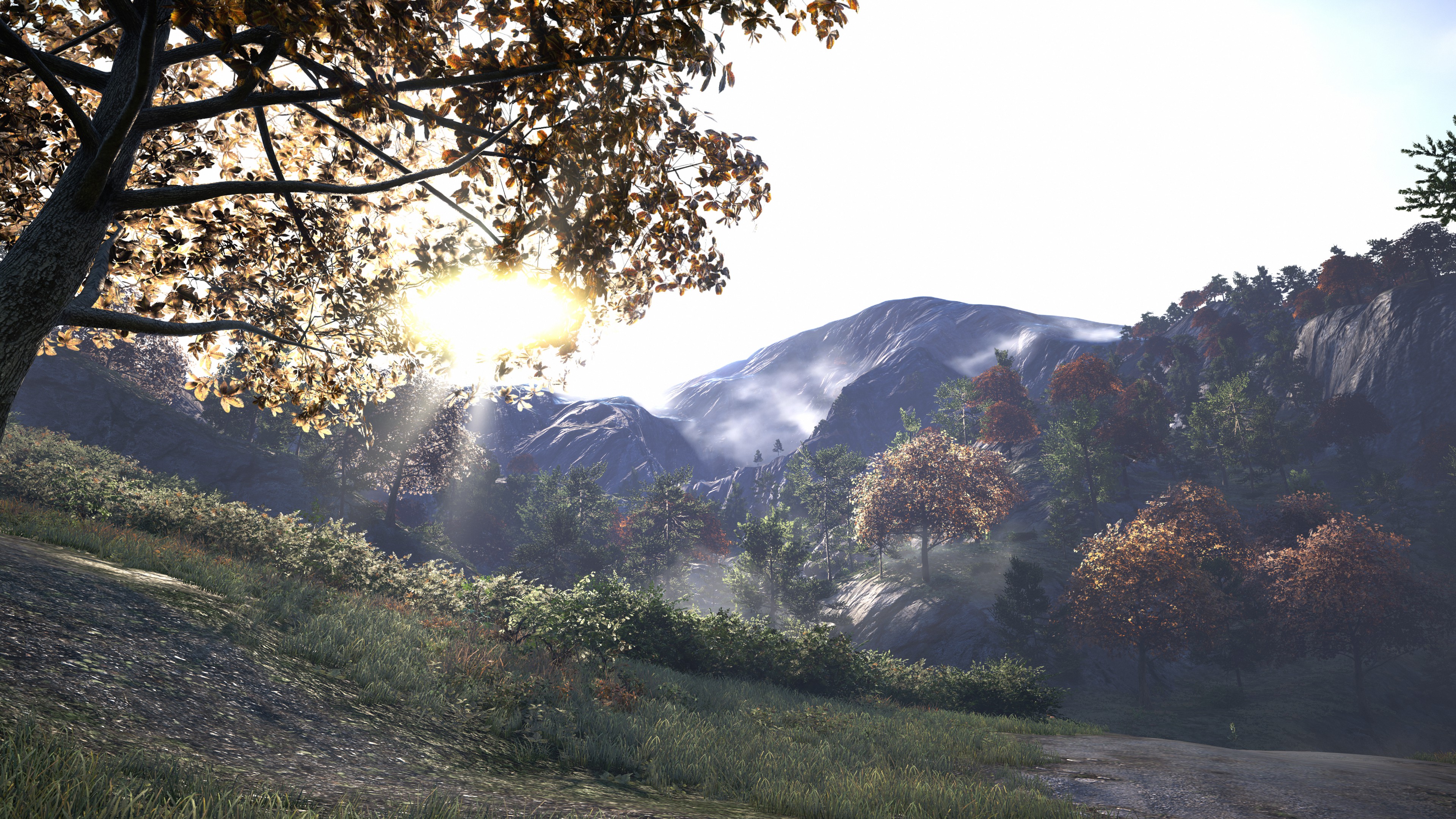Free download wallpaper Sun, Video Game, Far Cry, Far Cry 4 on your PC desktop