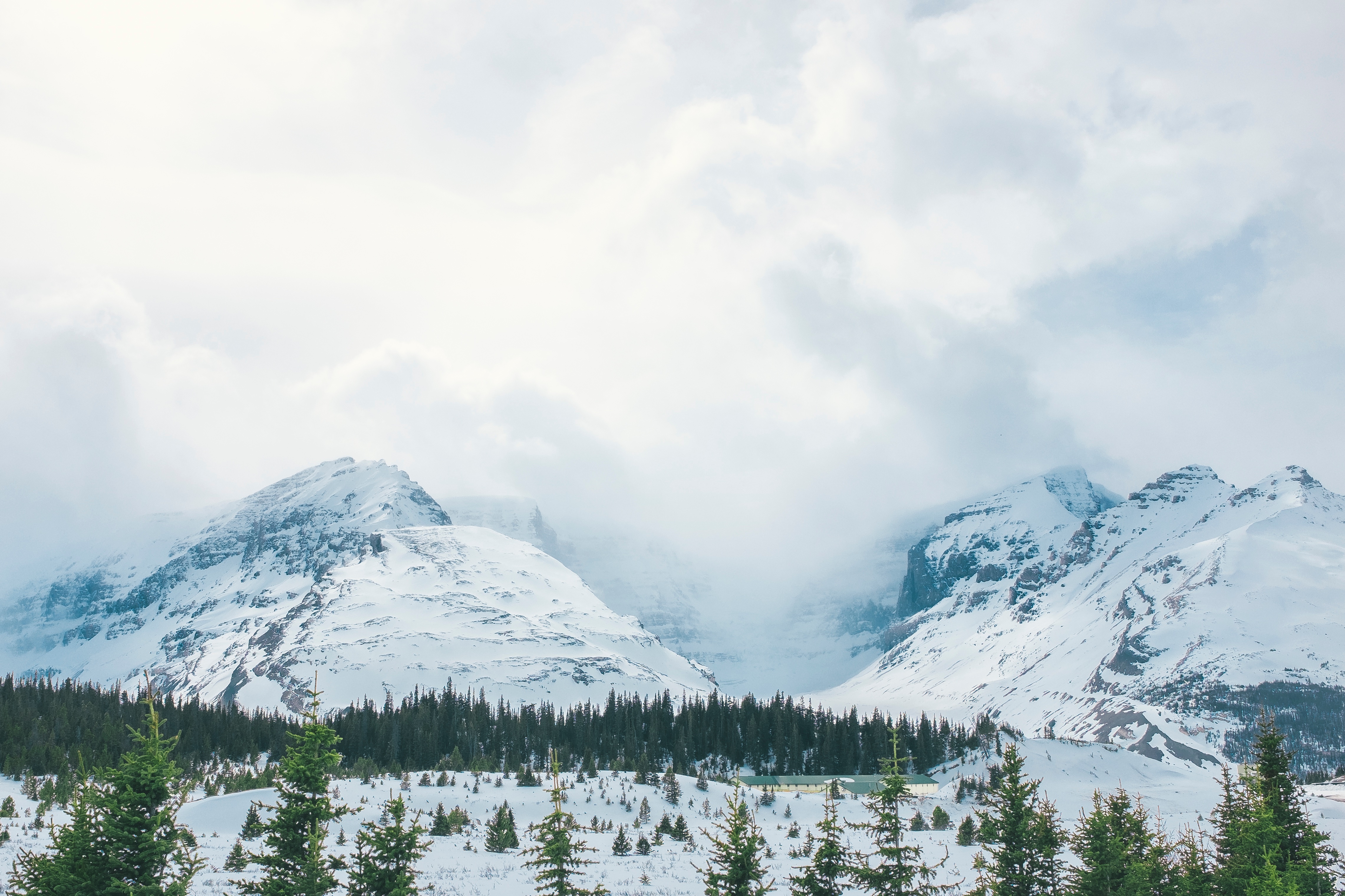 Скачати мобільні шпалери Туман, Вершина, Вершини, Природа, Дерева, Гори, Сніг безкоштовно.