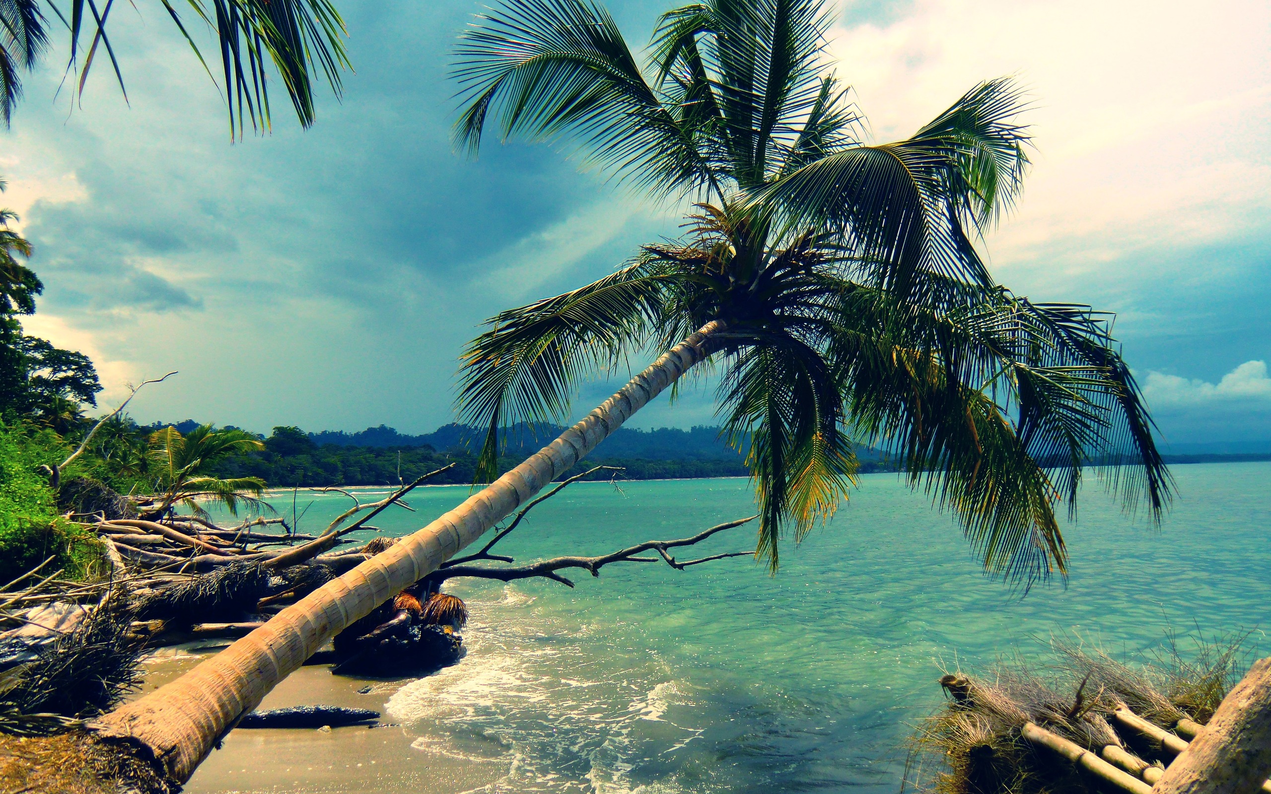 Téléchargez gratuitement l'image Plage, Terre/nature sur le bureau de votre PC