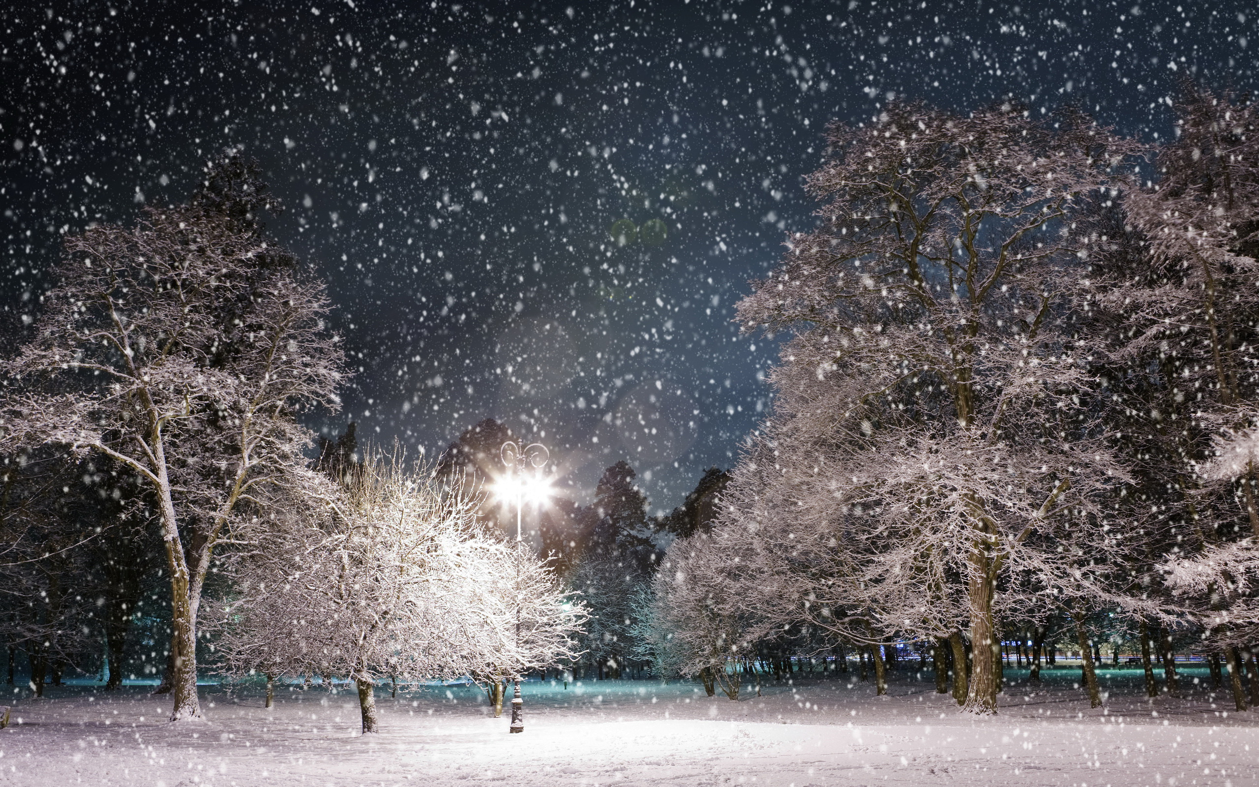 Скачать картинку Зима, Ночь, Снег, Свет, Парк, Дерево, Земля, Фотографии, Снегопад в телефон бесплатно.