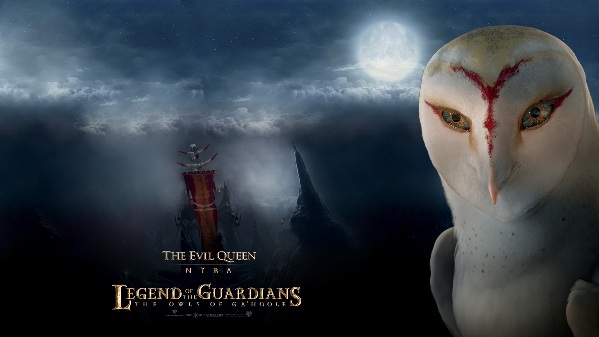 cartoon, movie, legend of the guardians: the owls of ga'hoole, bird, legend of the guardians, owl