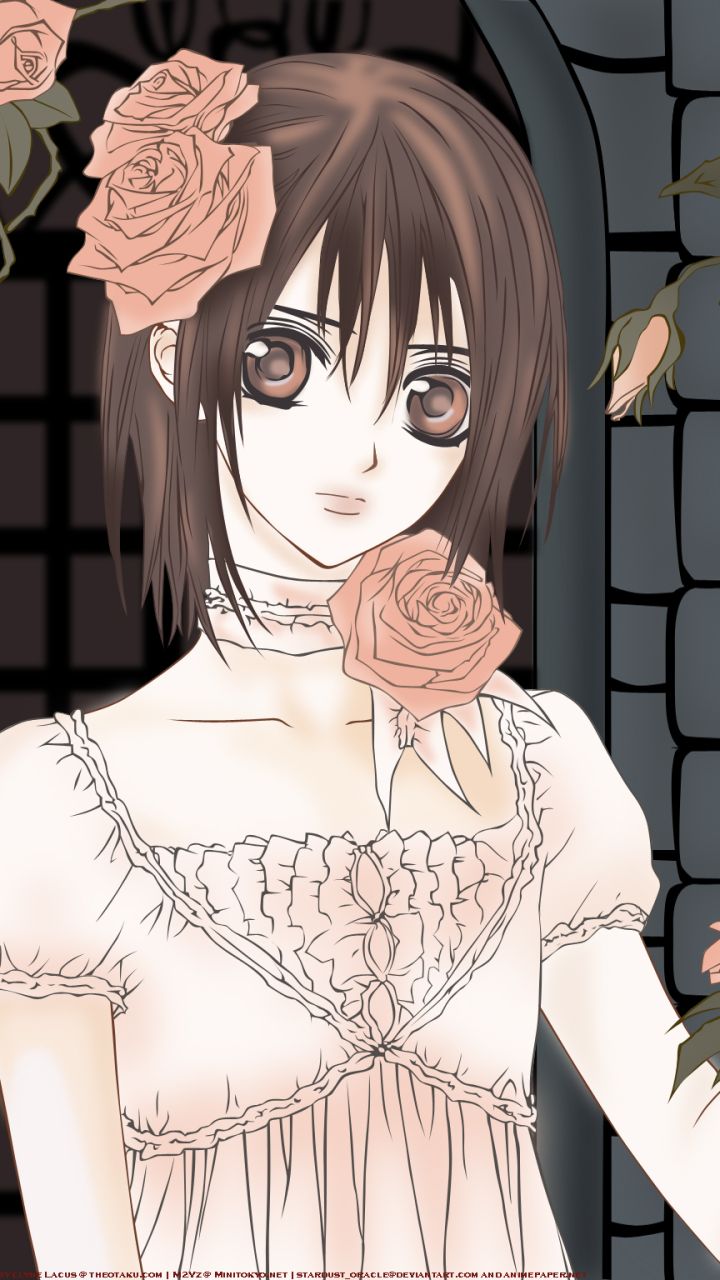 Download mobile wallpaper Anime, Flower, Rose, Yuki Cross, Vampire Knight, Yuki Kuran for free.