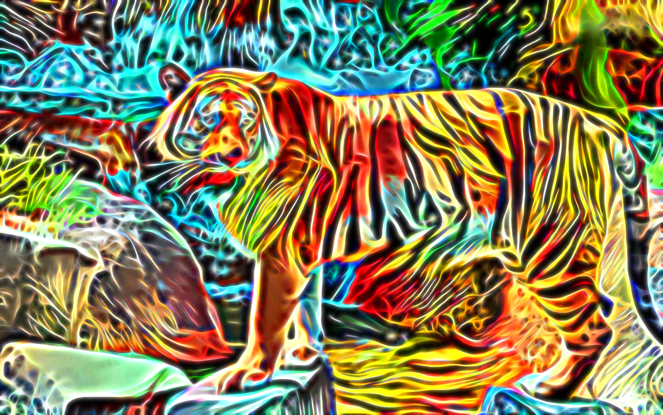 Laden Sie das Tiere, Katzen, Tiger, Bunt-Bild kostenlos auf Ihren PC-Desktop herunter