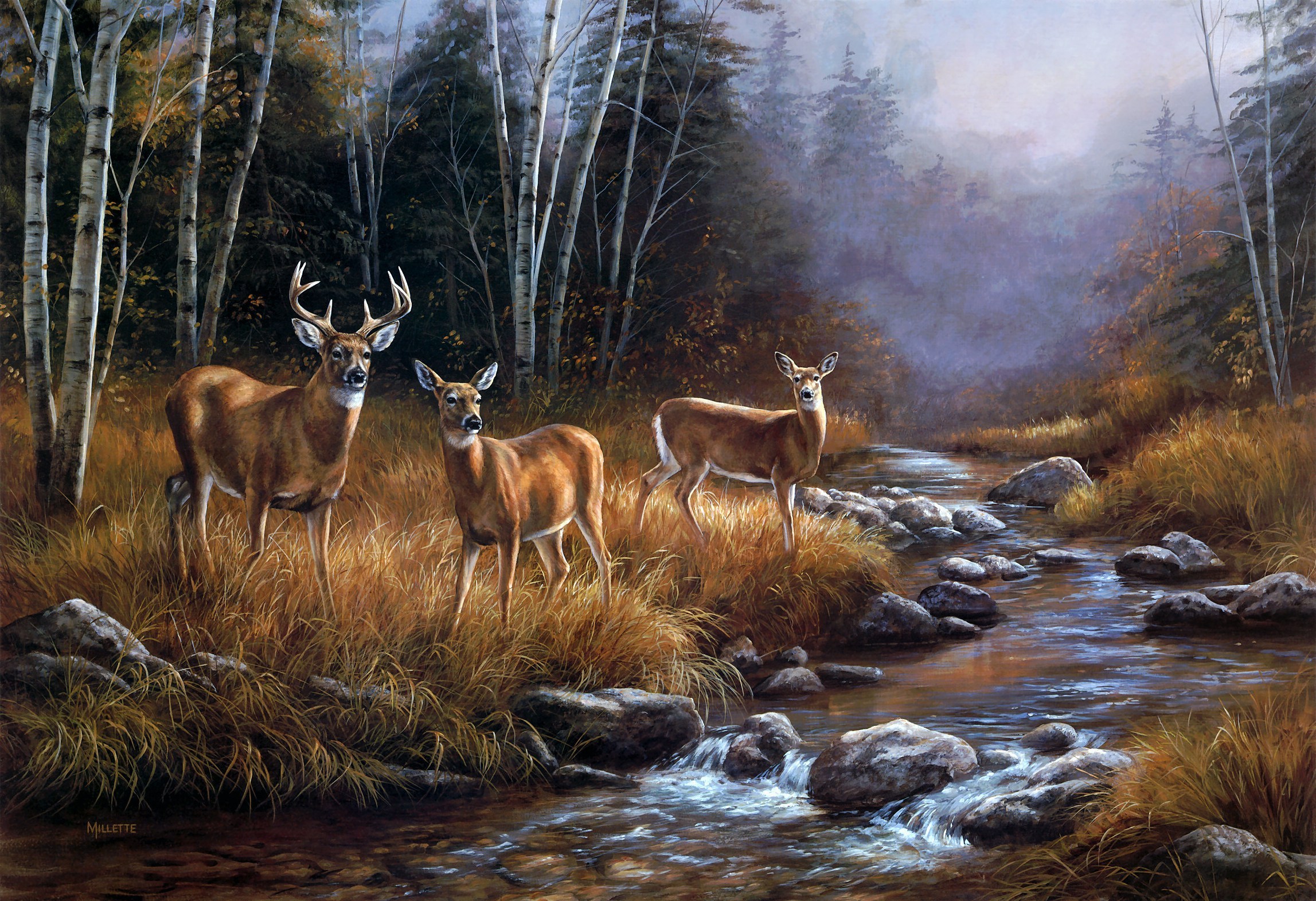 animal, deer, fall, stag, stream