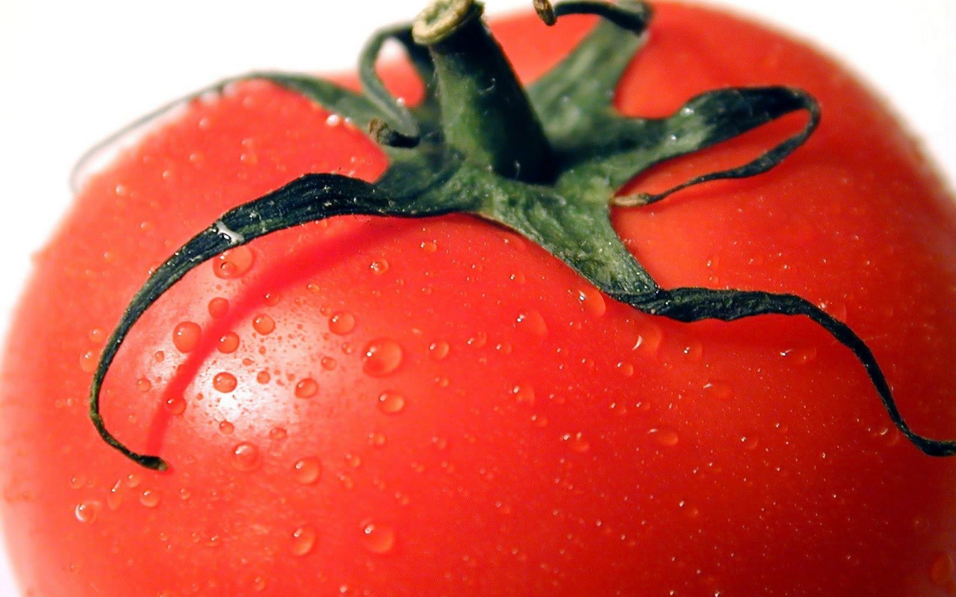 Laden Sie das Tomate, Nahrungsmittel, Früchte-Bild kostenlos auf Ihren PC-Desktop herunter