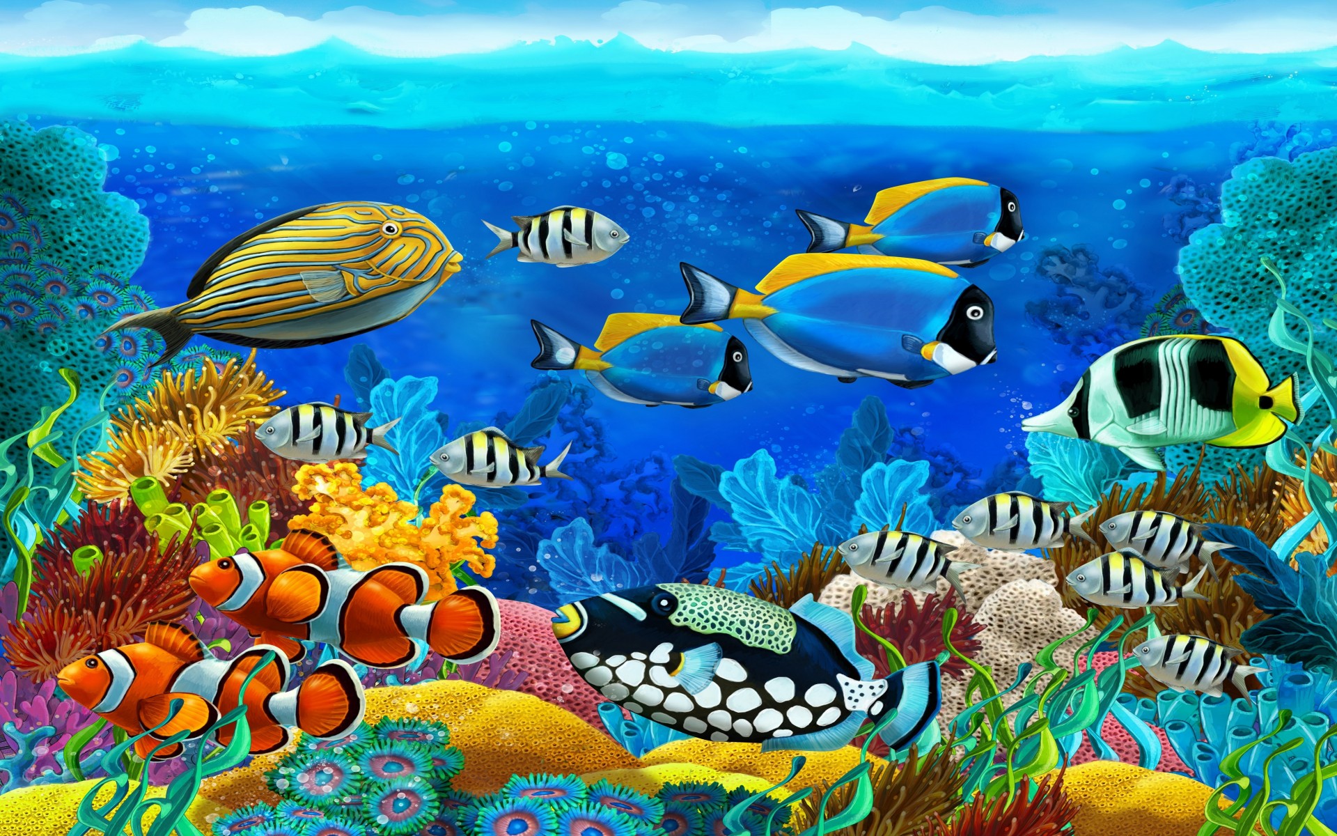 377774壁紙のダウンロード動物, 魚, 海洋, 海底, 熱帯魚, トロピカル, 水中, 魚類-スクリーンセーバーと写真を無料で