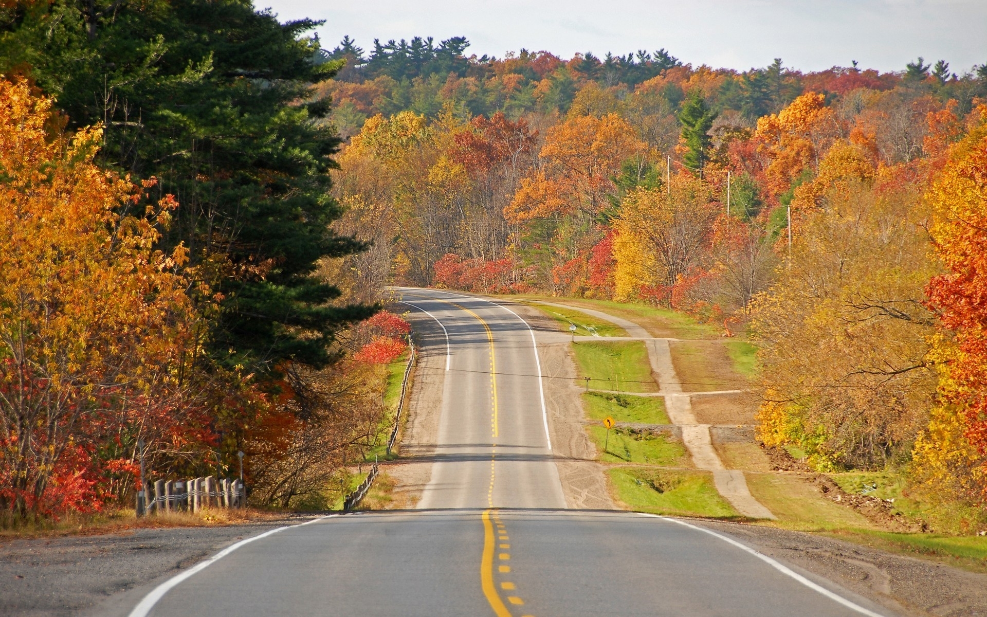 無料モバイル壁紙道路, 風景, 木, 秋をダウンロードします。