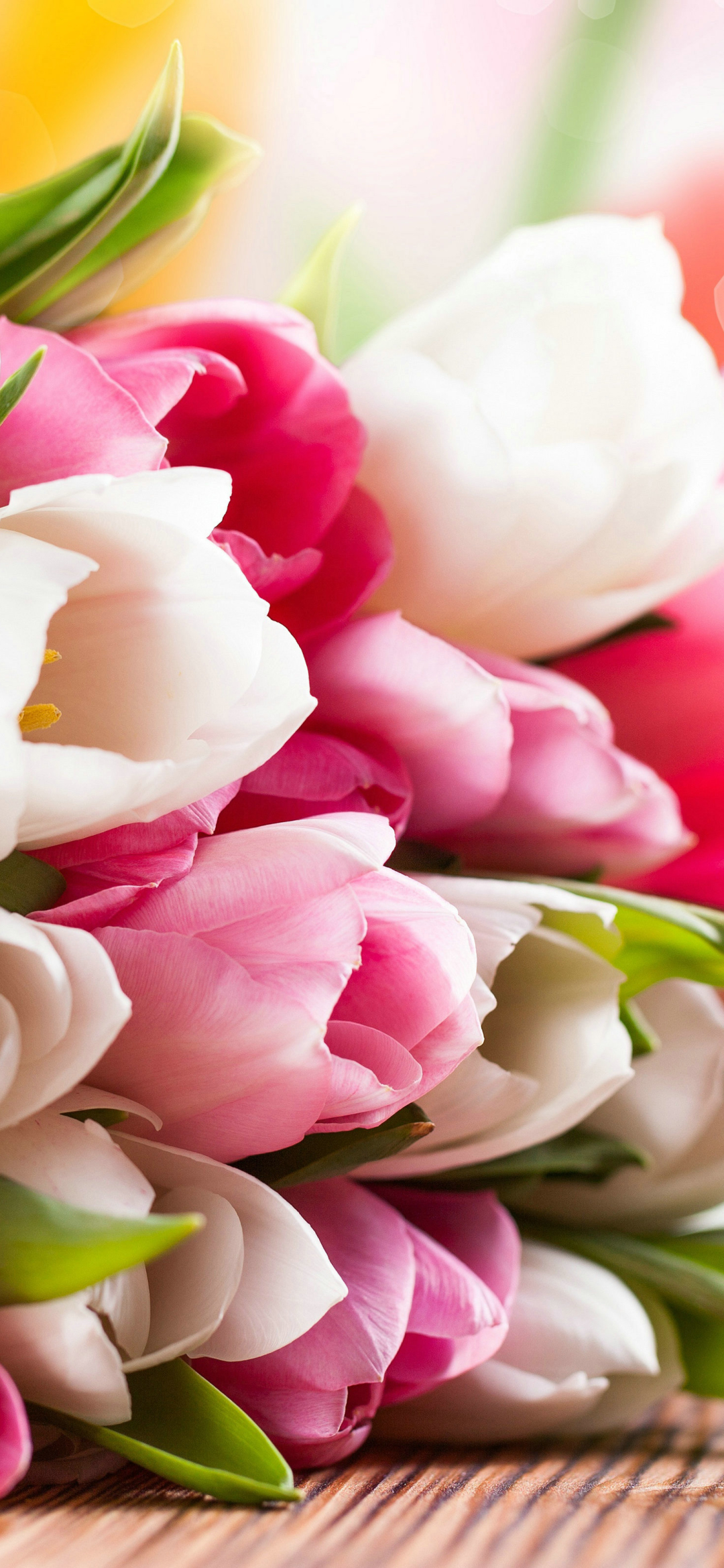 Download mobile wallpaper Flowers, Flower, Close Up, Bouquet, Earth, Tulip, White Flower, Pink Flower for free.