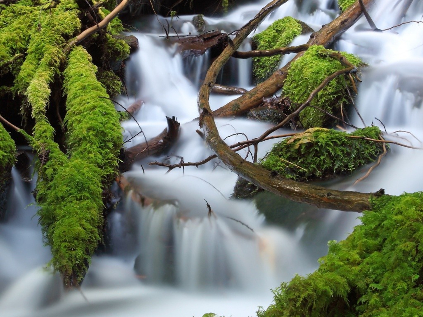 Download mobile wallpaper Stone, Water, Moss, Waterfall, Waterfalls, Earth for free.
