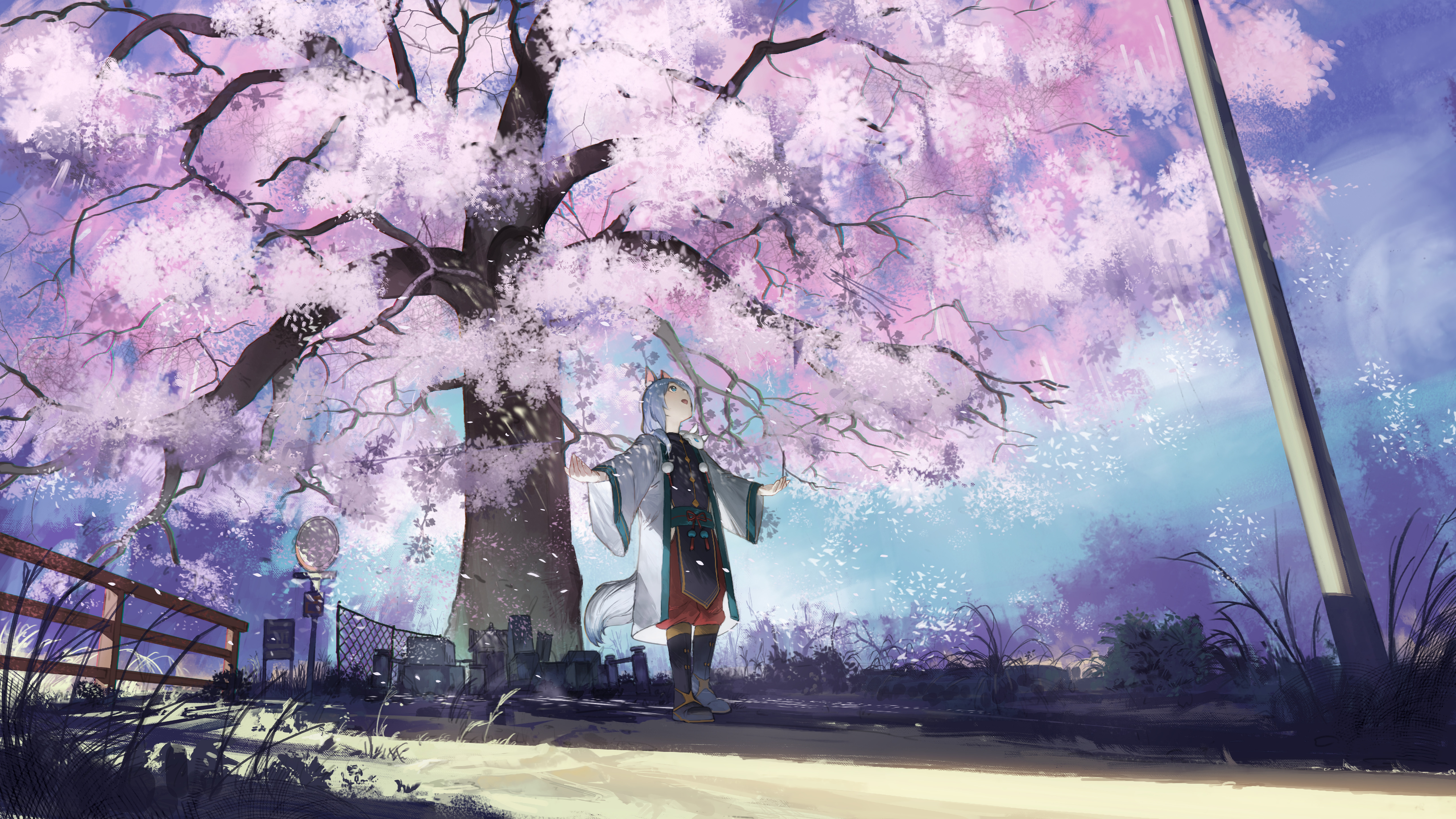 145195 Hintergrundbild herunterladen anime, mädchen, sakura, blütenblätter, neko - Bildschirmschoner und Bilder kostenlos