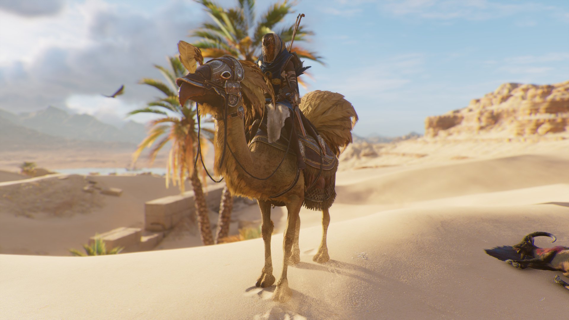 Laden Sie das Computerspiele, Assassin's Creed, Assassin's Creed: Origins-Bild kostenlos auf Ihren PC-Desktop herunter