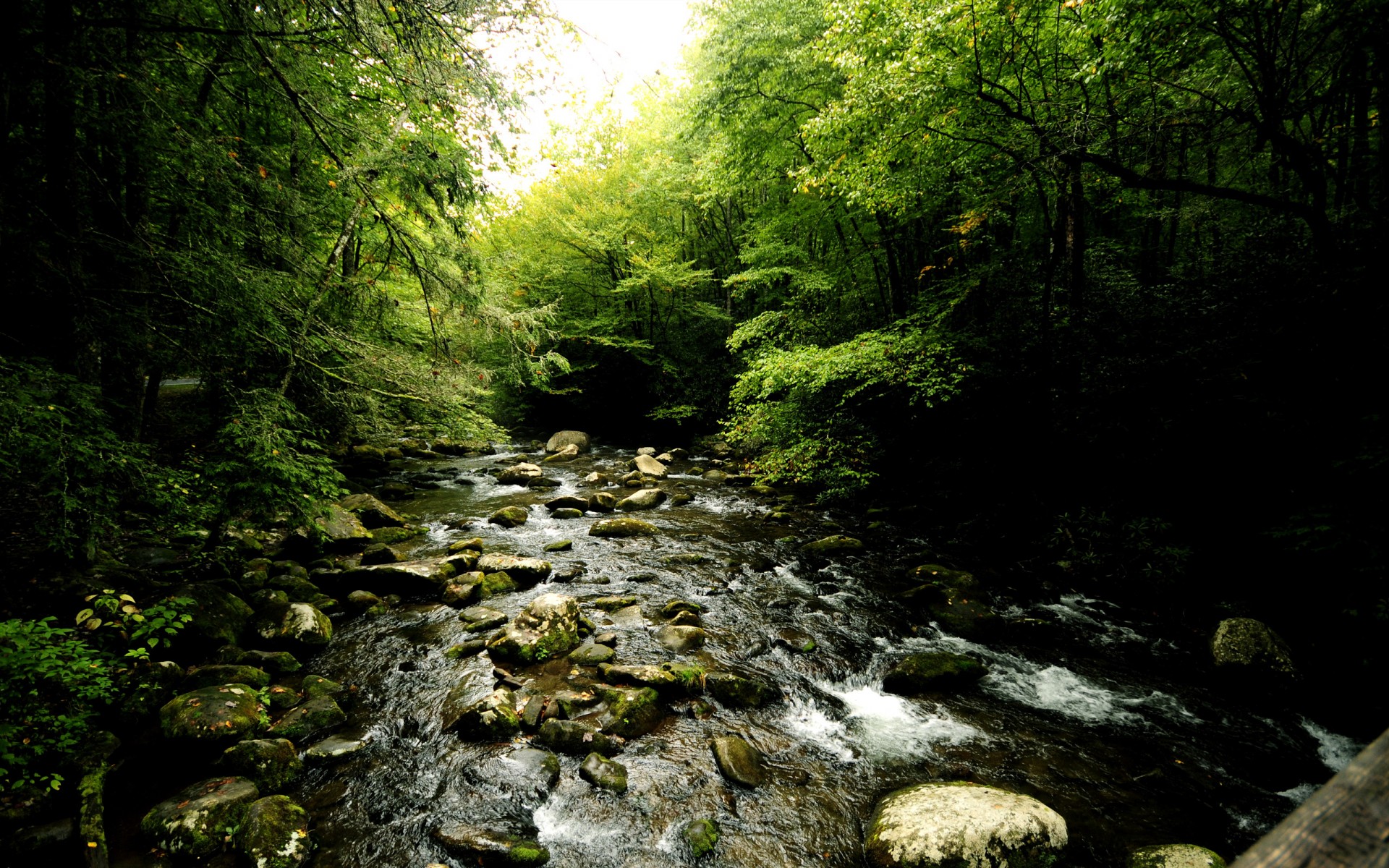 Скачать картинку Природа, Река, Лес, Зеленый, Ручей, Земля/природа в телефон бесплатно.