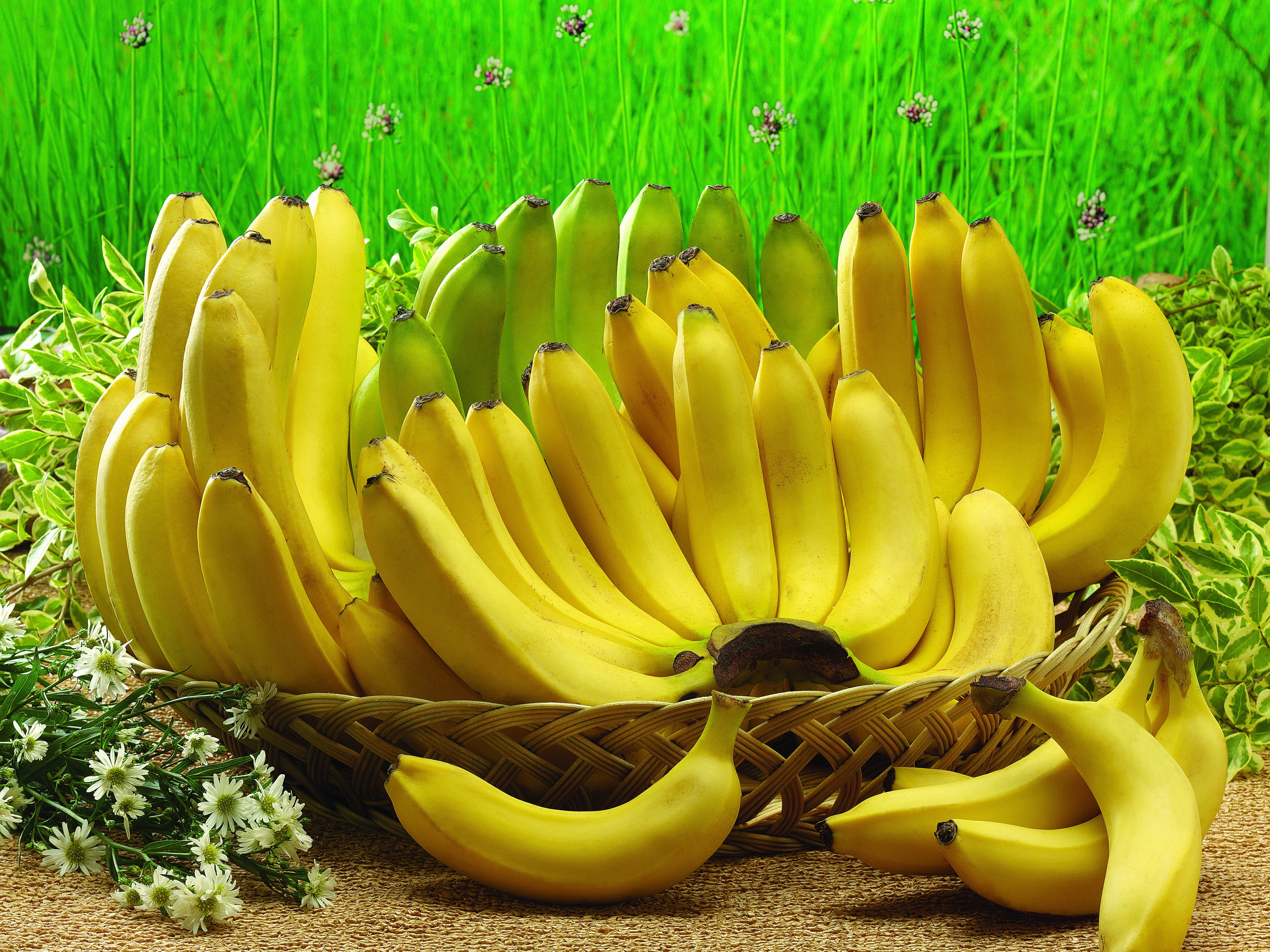 289369 завантажити шпалери харчування, банан, фрукти - заставки і картинки безкоштовно
