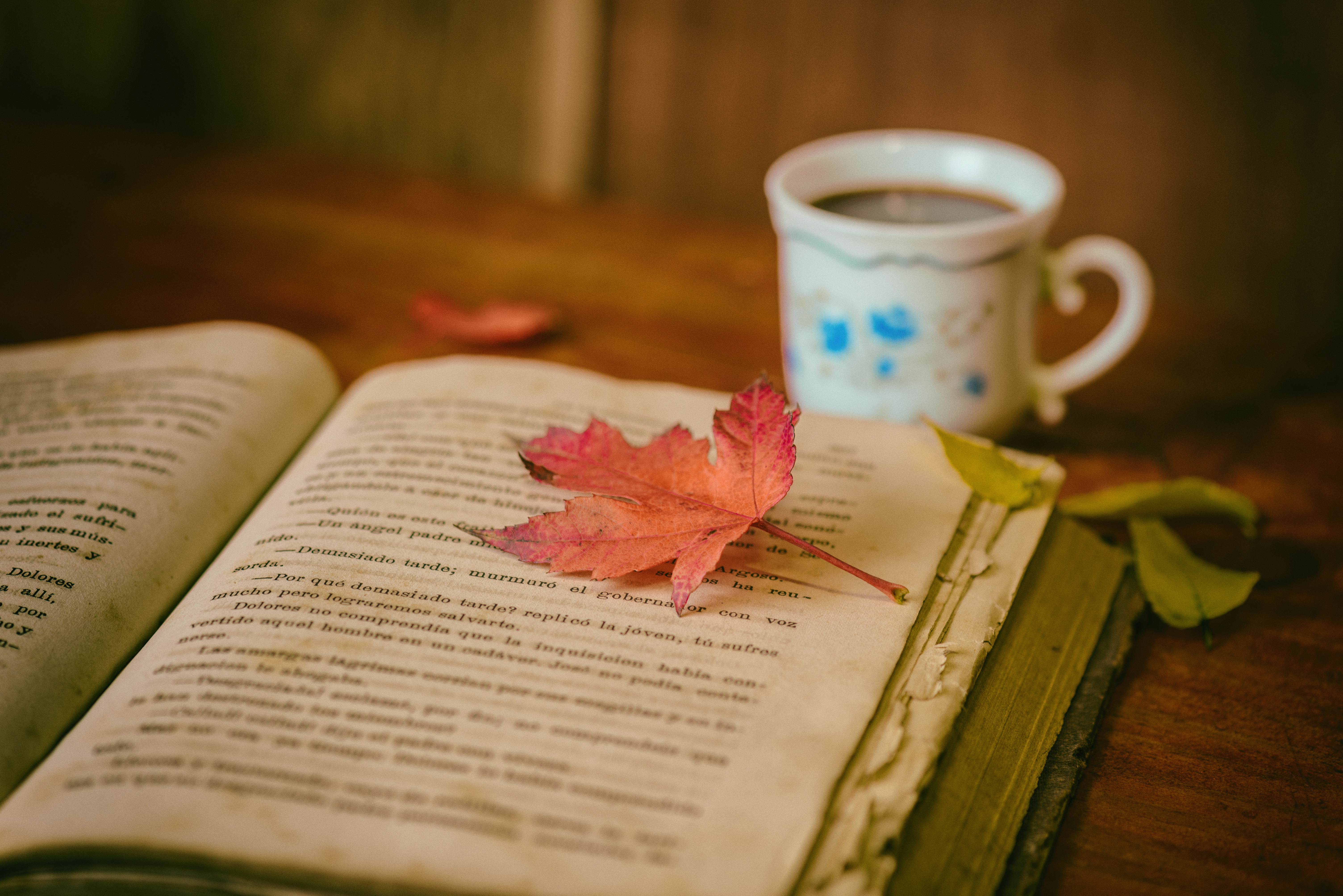 106282 скачать картинку чашка, уют, чтение, осень, разное, листья, кофе, книга - обои и заставки бесплатно