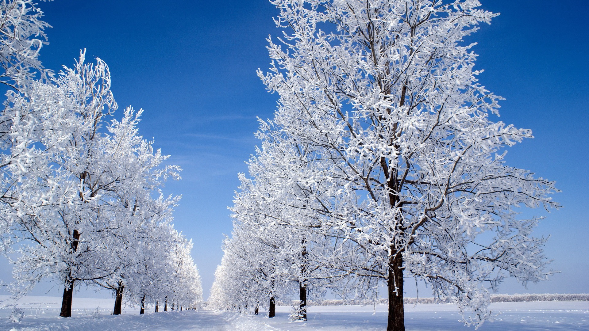 Téléchargez gratuitement l'image Hiver, Terre/nature sur le bureau de votre PC