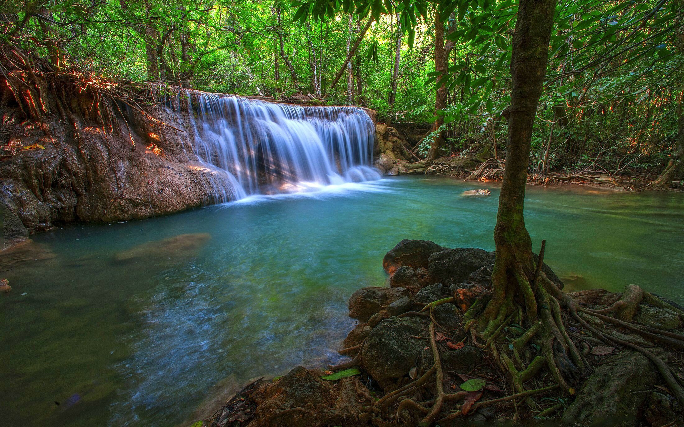 Free download wallpaper Waterfalls, Waterfall, Tree, Earth, Tropical on your PC desktop