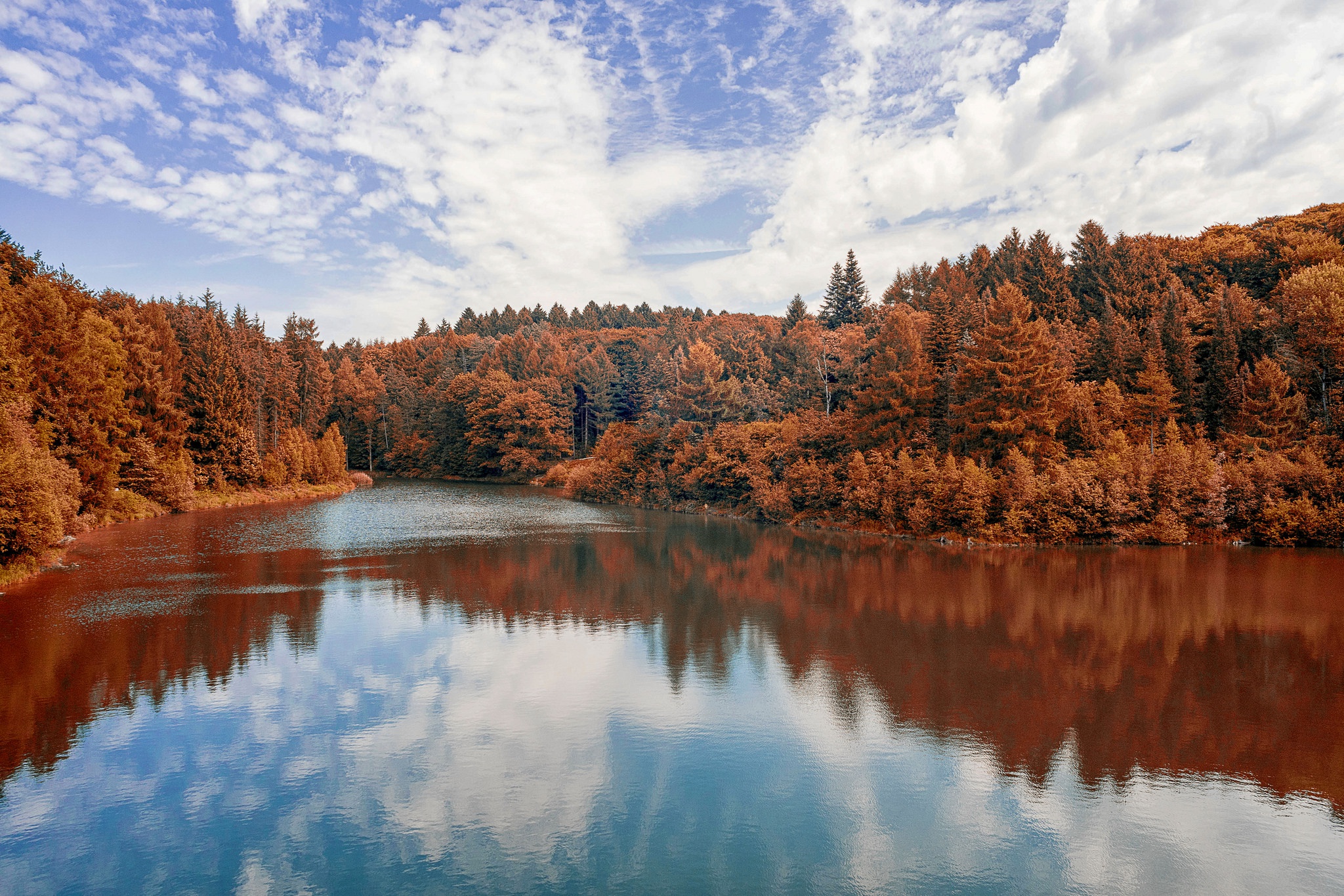 Download mobile wallpaper Nature, Lake, Reflection, Forest, Fall, Earth, Cloud for free.