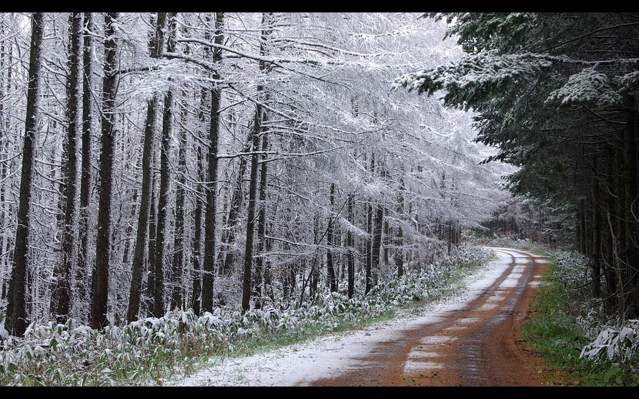 Descarga gratuita de fondo de pantalla para móvil de Carretera, Hecho Por El Hombre.