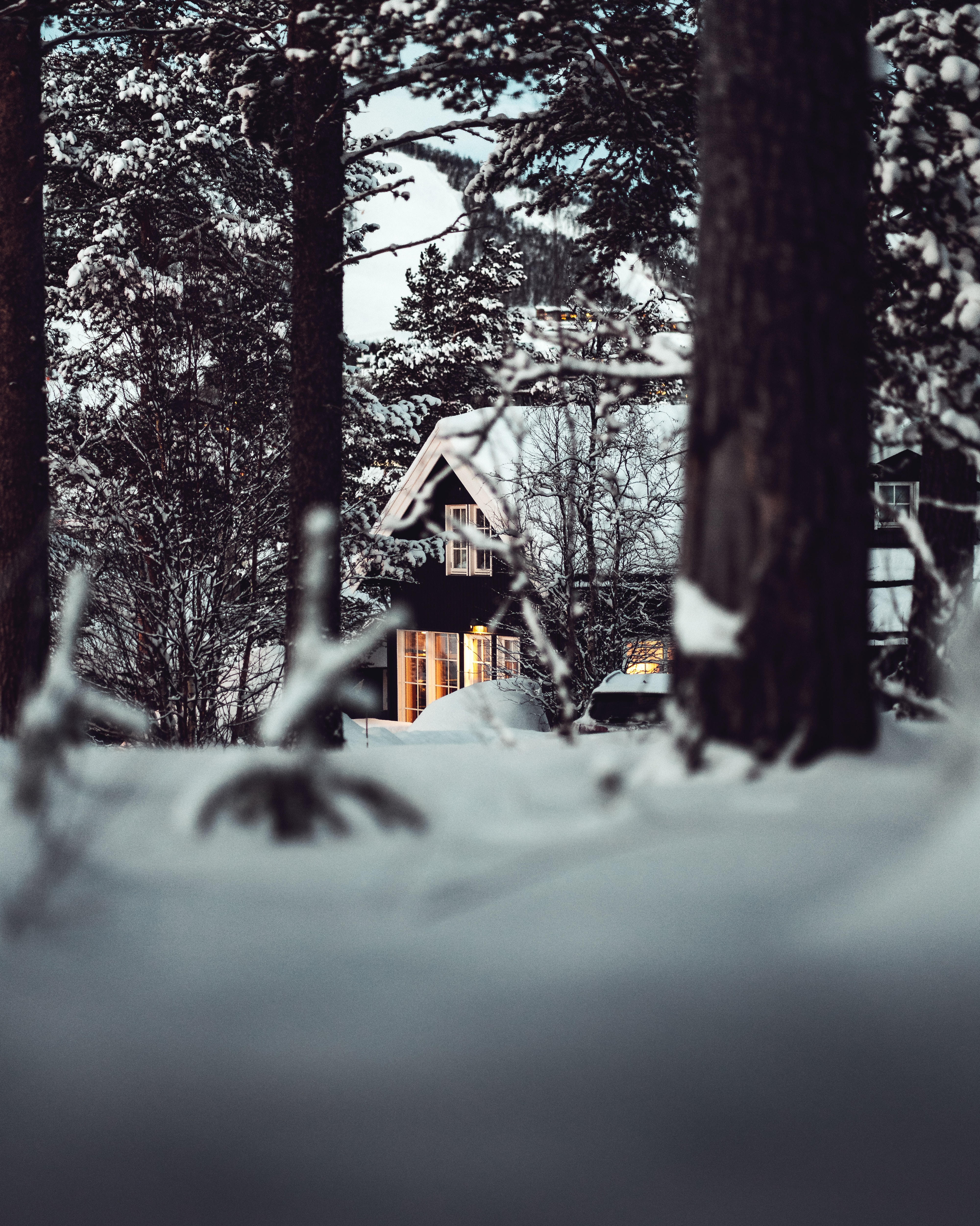 無料モバイル壁紙自然, 森林, 森, 泊める, 雪, 冬, 小さな家をダウンロードします。
