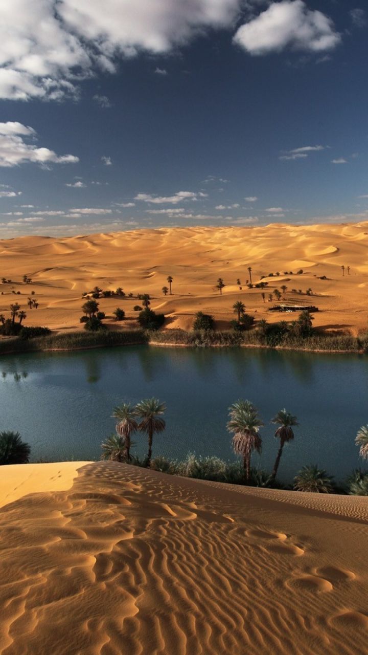 landscape, earth, desert, oasis, sahara, nature, sand